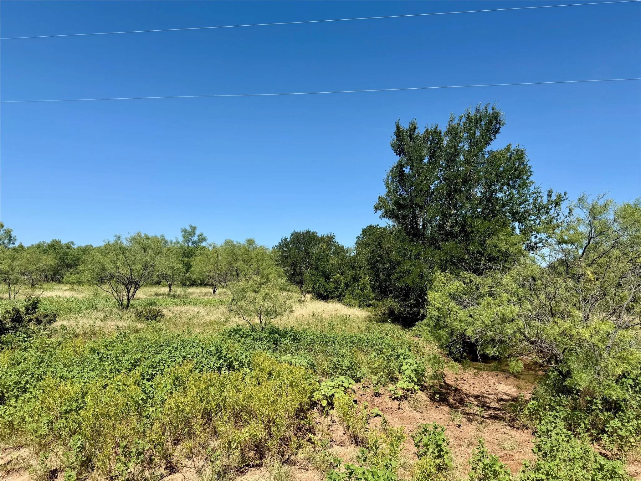 Unimproved Land For Sale in Brown County , TBD County Road 121, Cross Plains, Texas 76443, 0, 0, Garage spaces, 0 Sqft, built in 0, mls#21071877, Real Estate Agent in Cross Plains, Homes For Sale in Brown county, Homes For Sale in Cross Plains, Realtor in Cross Plains Texas, Real Estate Brokerage Independent Realty Texas, Luminita Cordes Realtor