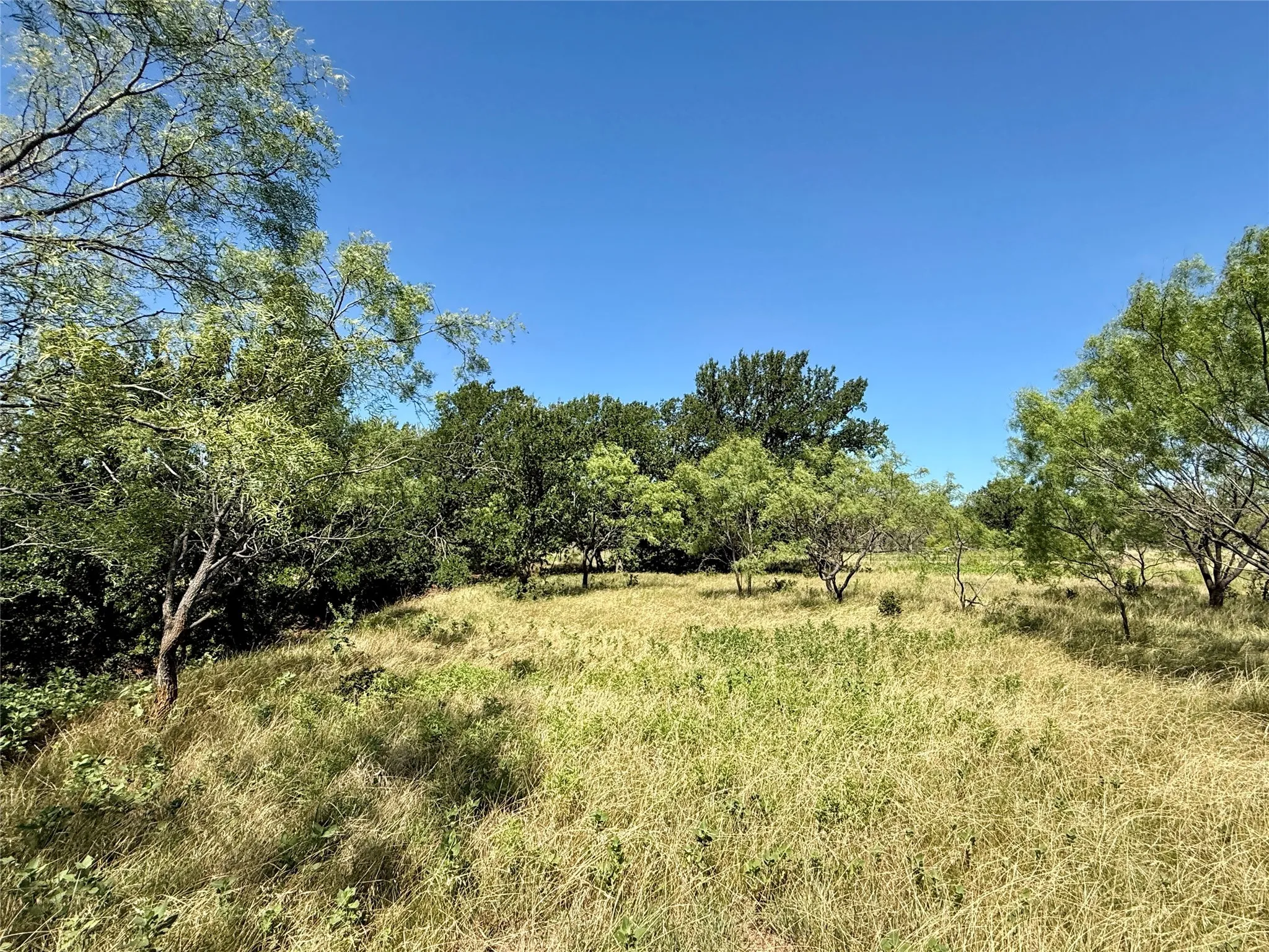 Unimproved Land For Sale in Brown County , TBD County Road 121, Cross Plains, Texas 76443, 0, 0, Garage spaces, 0 Sqft, built in 0, mls#21071877, Real Estate Agent in Cross Plains, Homes For Sale in Brown county, Homes For Sale in Cross Plains, Realtor in Cross Plains Texas, Real Estate Brokerage Independent Realty Texas, Luminita Cordes Realtor