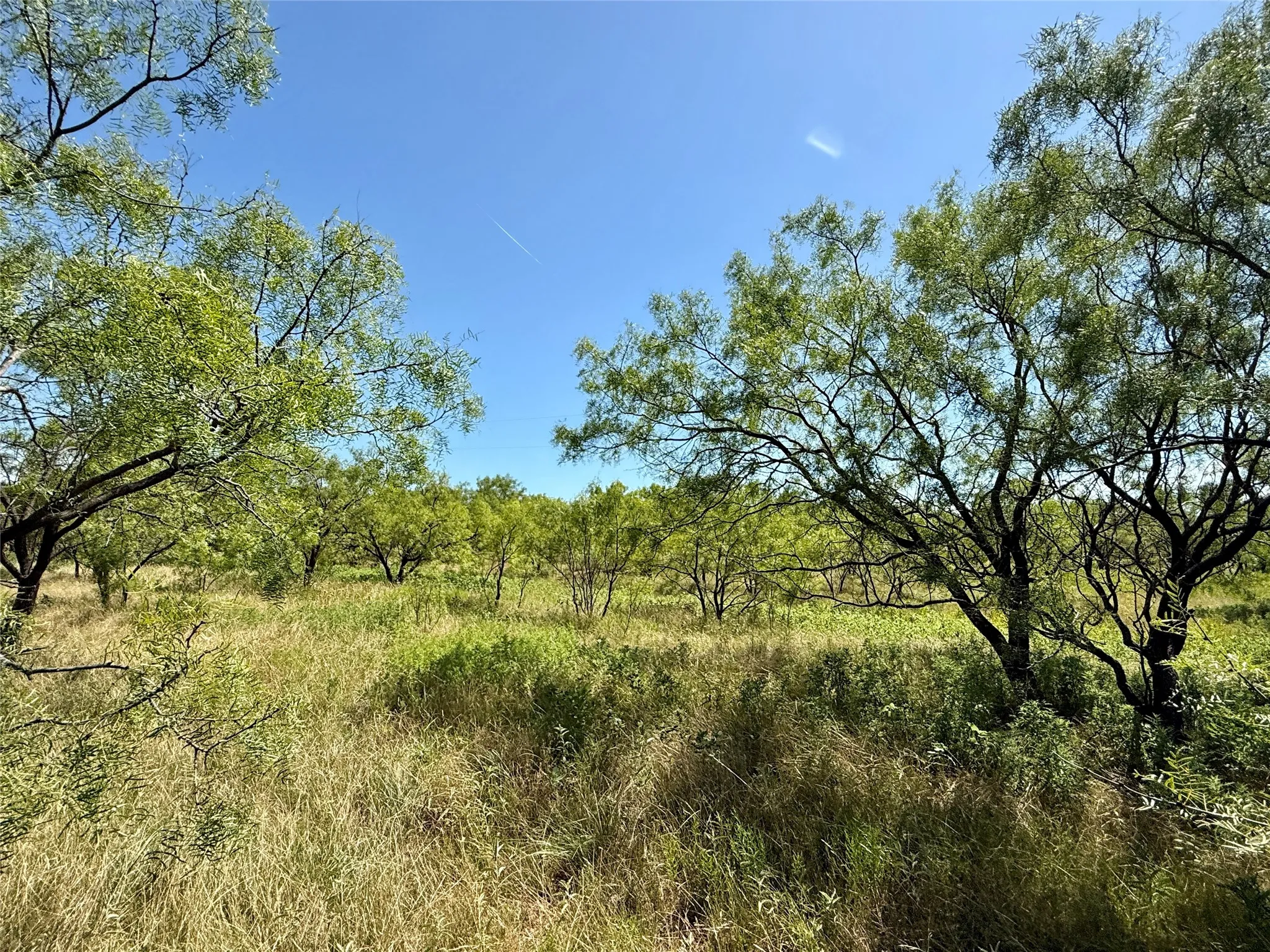 Unimproved Land For Sale in Brown County , TBD County Road 121, Cross Plains, Texas 76443, 0, 0, Garage spaces, 0 Sqft, built in 0, mls#21071877, Real Estate Agent in Cross Plains, Homes For Sale in Brown county, Homes For Sale in Cross Plains, Realtor in Cross Plains Texas, Real Estate Brokerage Independent Realty Texas, Luminita Cordes Realtor