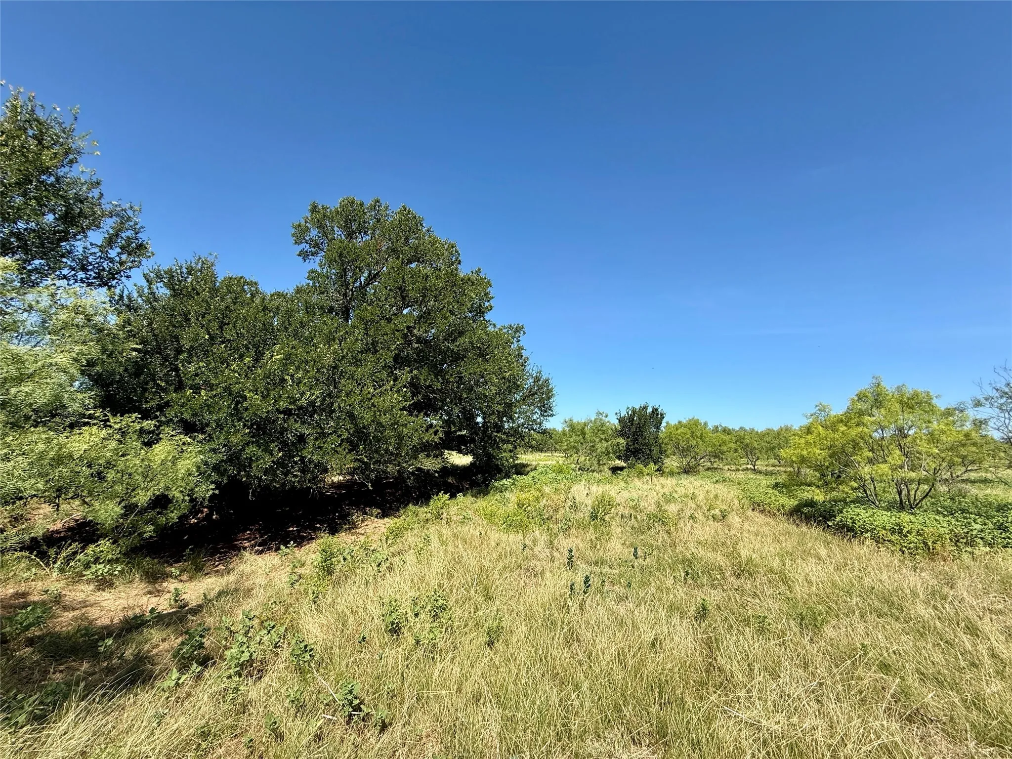 Unimproved Land For Sale in Brown County , TBD County Road 121, Cross Plains, Texas 76443, 0, 0, Garage spaces, 0 Sqft, built in 0, mls#21071877, Real Estate Agent in Cross Plains, Homes For Sale in Brown county, Homes For Sale in Cross Plains, Realtor in Cross Plains Texas, Real Estate Brokerage Independent Realty Texas, Luminita Cordes Realtor