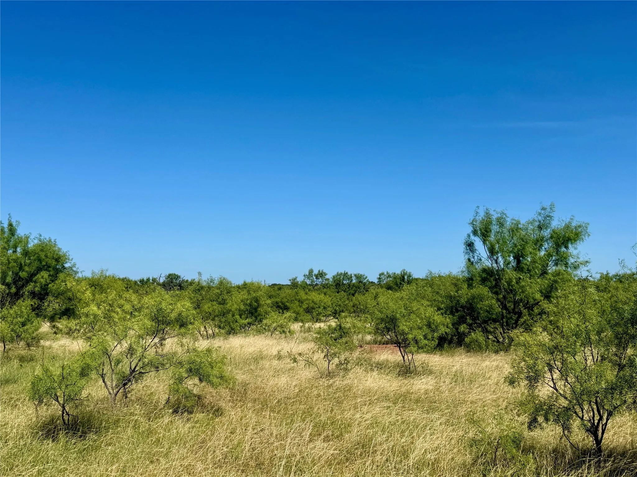 Unimproved Land For Sale in Brown County , TBD County Road 121, Cross Plains, Texas 76443, 0, 0, Garage spaces, 0 Sqft, built in 0, mls#21071877, Real Estate Agent in Cross Plains, Homes For Sale in Brown county, Homes For Sale in Cross Plains, Realtor in Cross Plains Texas, Real Estate Brokerage Independent Realty Texas, Luminita Cordes Realtor