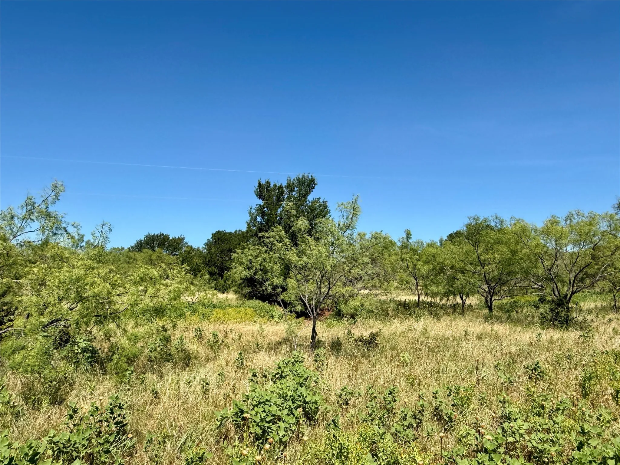 Unimproved Land For Sale in Brown County , TBD County Road 121, Cross Plains, Texas 76443, 0, 0, Garage spaces, 0 Sqft, built in 0, mls#21071877, Real Estate Agent in Cross Plains, Homes For Sale in Brown county, Homes For Sale in Cross Plains, Realtor in Cross Plains Texas, Real Estate Brokerage Independent Realty Texas, Luminita Cordes Realtor
