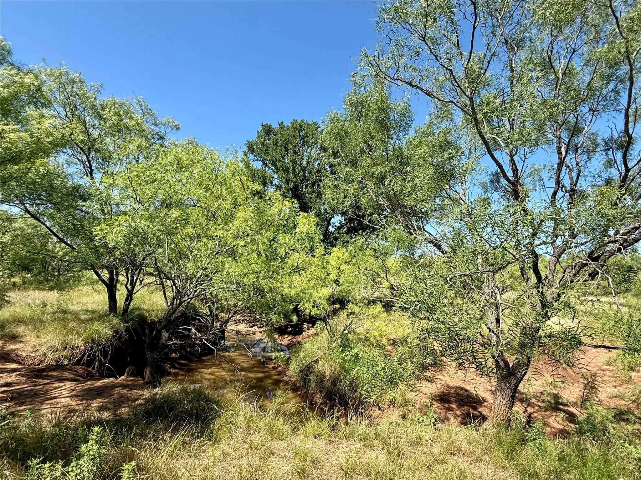 Unimproved Land For Sale in Brown County , TBD County Road 121, Cross Plains, Texas 76443, 0, 0, Garage spaces, 0 Sqft, built in 0, mls#21071877, Real Estate Agent in Cross Plains, Homes For Sale in Brown county, Homes For Sale in Cross Plains, Realtor in Cross Plains Texas, Real Estate Brokerage Independent Realty Texas, Luminita Cordes Realtor