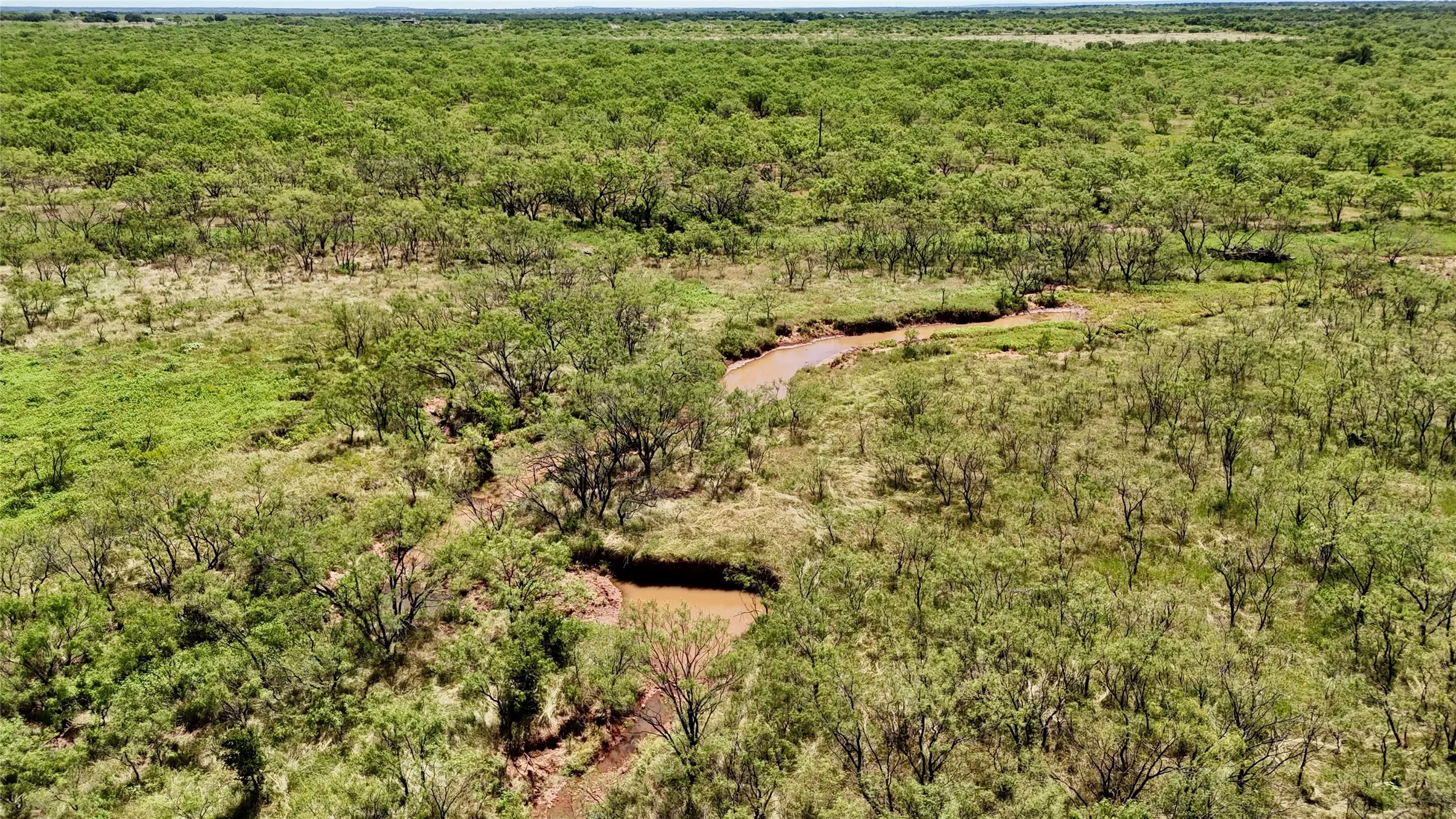 Unimproved Land For Sale in Brown County , TBD County Road 121, Cross Plains, Texas 76443, 0, 0, Garage spaces, 0 Sqft, built in 0, mls#21071877, Real Estate Agent in Cross Plains, Homes For Sale in Brown county, Homes For Sale in Cross Plains, Realtor in Cross Plains Texas, Real Estate Brokerage Independent Realty Texas, Luminita Cordes Realtor