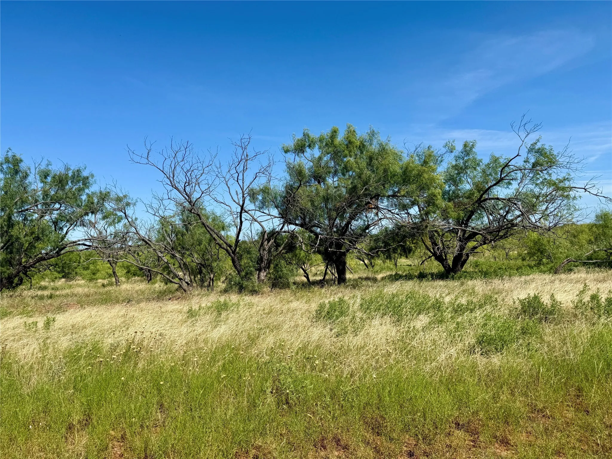 Unimproved Land For Sale in Brown County , TBD County Road 121, Cross Plains, Texas 76443, 0, 0, Garage spaces, 0 Sqft, built in 0, mls#21071877, Real Estate Agent in Cross Plains, Homes For Sale in Brown county, Homes For Sale in Cross Plains, Realtor in Cross Plains Texas, Real Estate Brokerage Independent Realty Texas, Luminita Cordes Realtor