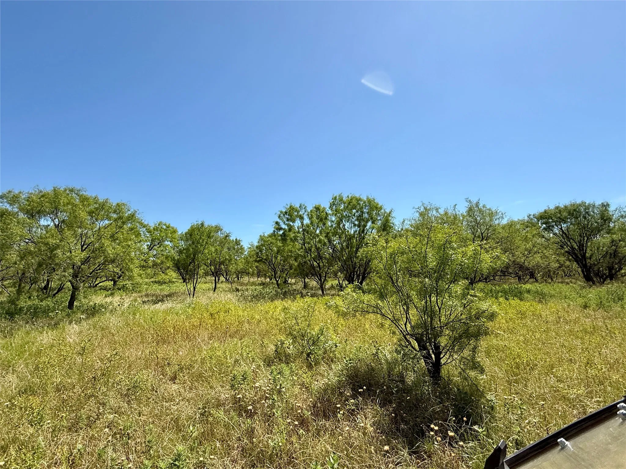 Unimproved Land For Sale in Brown County , TBD County Road 121, Cross Plains, Texas 76443, 0, 0, Garage spaces, 0 Sqft, built in 0, mls#21071877, Real Estate Agent in Cross Plains, Homes For Sale in Brown county, Homes For Sale in Cross Plains, Realtor in Cross Plains Texas, Real Estate Brokerage Independent Realty Texas, Luminita Cordes Realtor