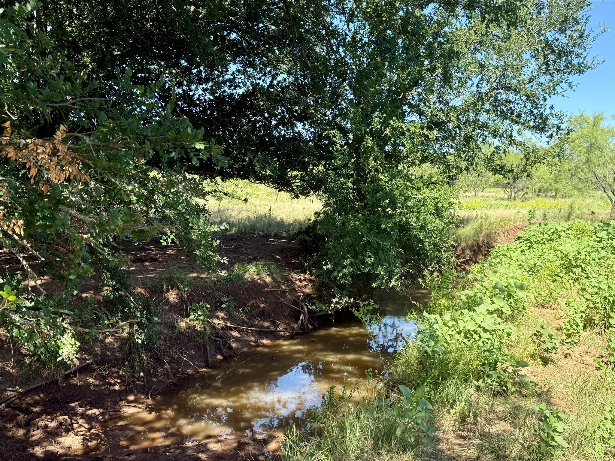 Unimproved Land For Sale in Brown County , TBD County Road 121, Cross Plains, Texas 76443, 0, 0, Garage spaces, 0 Sqft, built in 0, mls#21071877, Real Estate Agent in Cross Plains, Homes For Sale in Brown county, Homes For Sale in Cross Plains, Realtor in Cross Plains Texas, Real Estate Brokerage Independent Realty Texas, Luminita Cordes Realtor