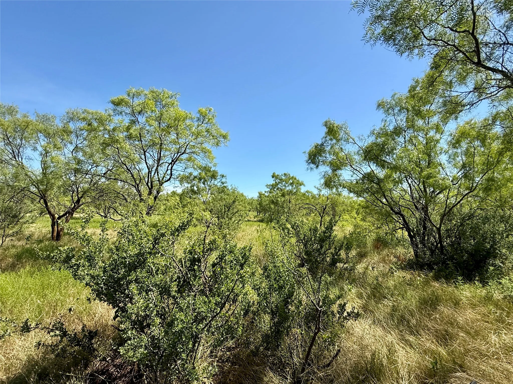 Unimproved Land For Sale in Brown County , TBD County Road 121, Cross Plains, Texas 76443, 0, 0, Garage spaces, 0 Sqft, built in 0, mls#21071877, Real Estate Agent in Cross Plains, Homes For Sale in Brown county, Homes For Sale in Cross Plains, Realtor in Cross Plains Texas, Real Estate Brokerage Independent Realty Texas, Luminita Cordes Realtor