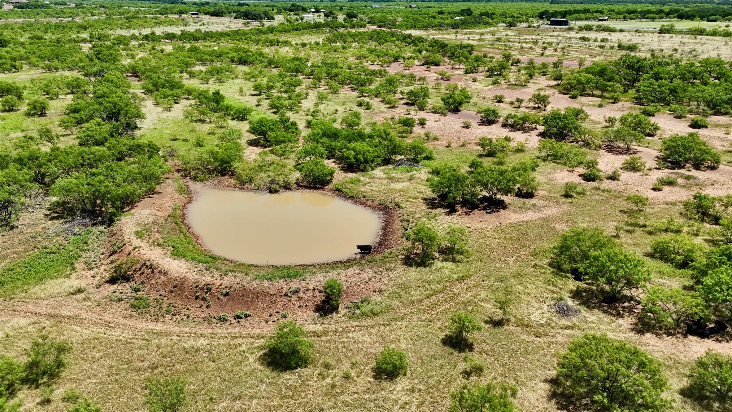 Unimproved Land For Sale in Brown County , TBD County Road 121, Cross Plains, Texas 76443, 0, 0, Garage spaces, 0 Sqft, built in 0, mls#21071877, Real Estate Agent in Cross Plains, Homes For Sale in Brown county, Homes For Sale in Cross Plains, Realtor in Cross Plains Texas, Real Estate Brokerage Independent Realty Texas, Luminita Cordes Realtor
