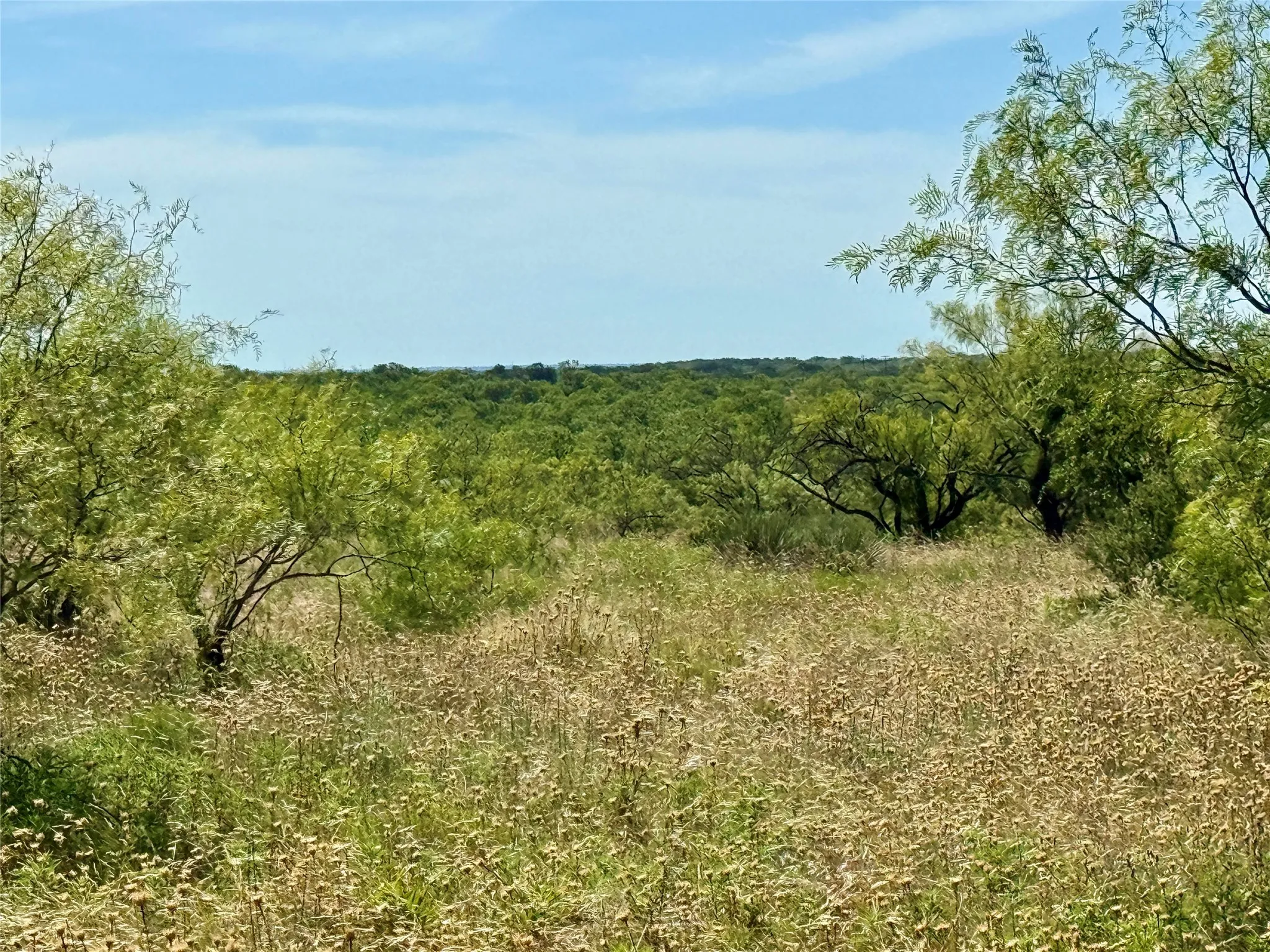 Unimproved Land For Sale in Brown County , TBD County Road 121, Cross Plains, Texas 76443, 0, 0, Garage spaces, 0 Sqft, built in 0, mls#21071877, Real Estate Agent in Cross Plains, Homes For Sale in Brown county, Homes For Sale in Cross Plains, Realtor in Cross Plains Texas, Real Estate Brokerage Independent Realty Texas, Luminita Cordes Realtor