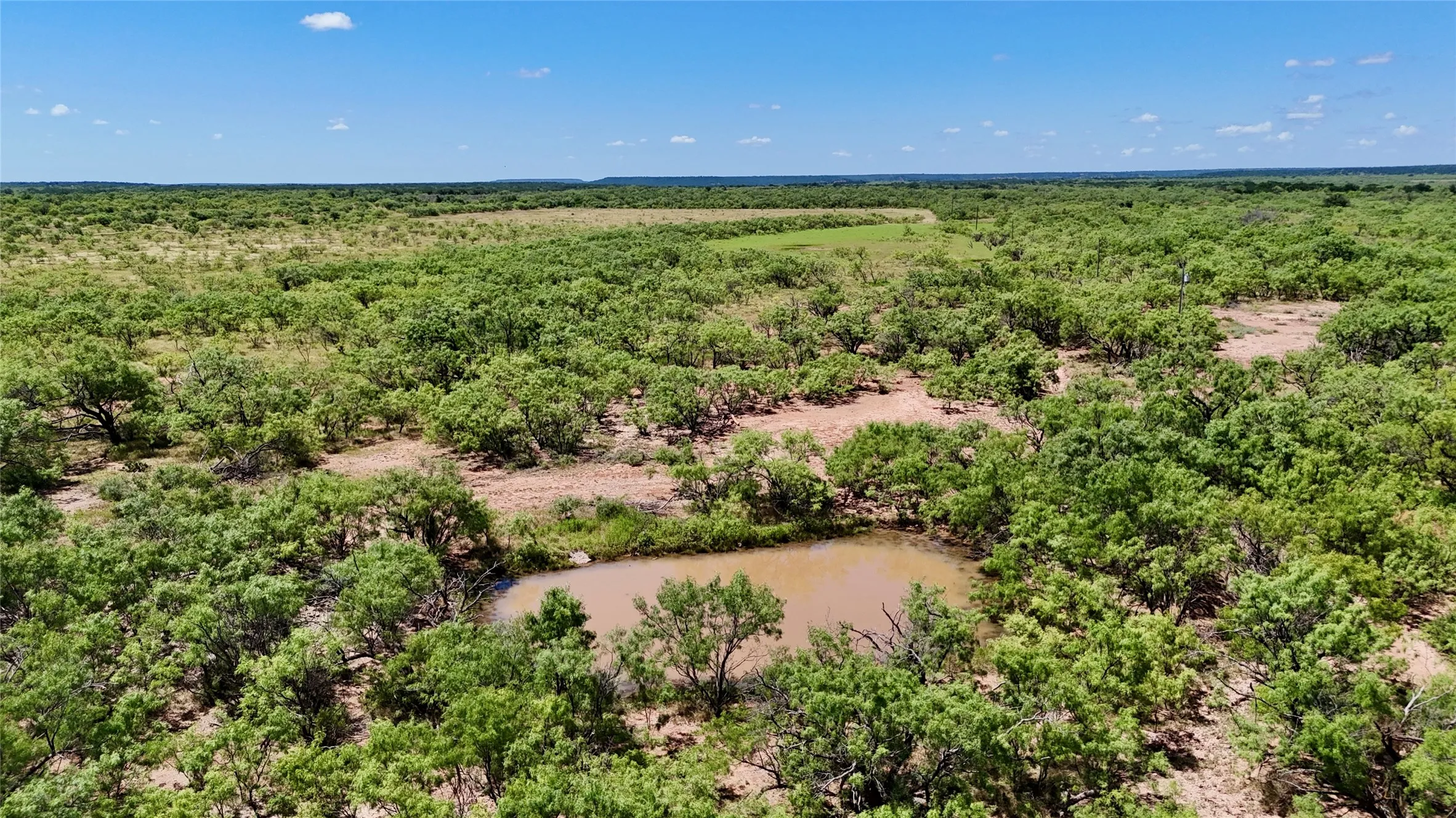 Unimproved Land For Sale in Brown County , TBD County Road 121, Cross Plains, Texas 76443, 0, 0, Garage spaces, 0 Sqft, built in 0, mls#21071877, Real Estate Agent in Cross Plains, Homes For Sale in Brown county, Homes For Sale in Cross Plains, Realtor in Cross Plains Texas, Real Estate Brokerage Independent Realty Texas, Luminita Cordes Realtor