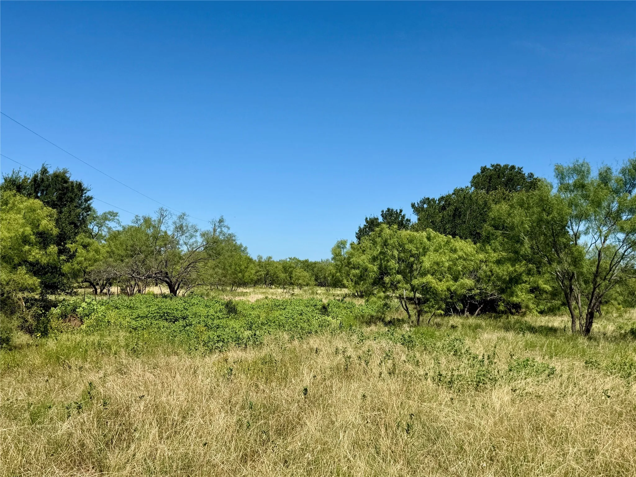 Unimproved Land For Sale in Brown County , TBD County Road 121, Cross Plains, Texas 76443, 0, 0, Garage spaces, 0 Sqft, built in 0, mls#21071877, Real Estate Agent in Cross Plains, Homes For Sale in Brown county, Homes For Sale in Cross Plains, Realtor in Cross Plains Texas, Real Estate Brokerage Independent Realty Texas, Luminita Cordes Realtor