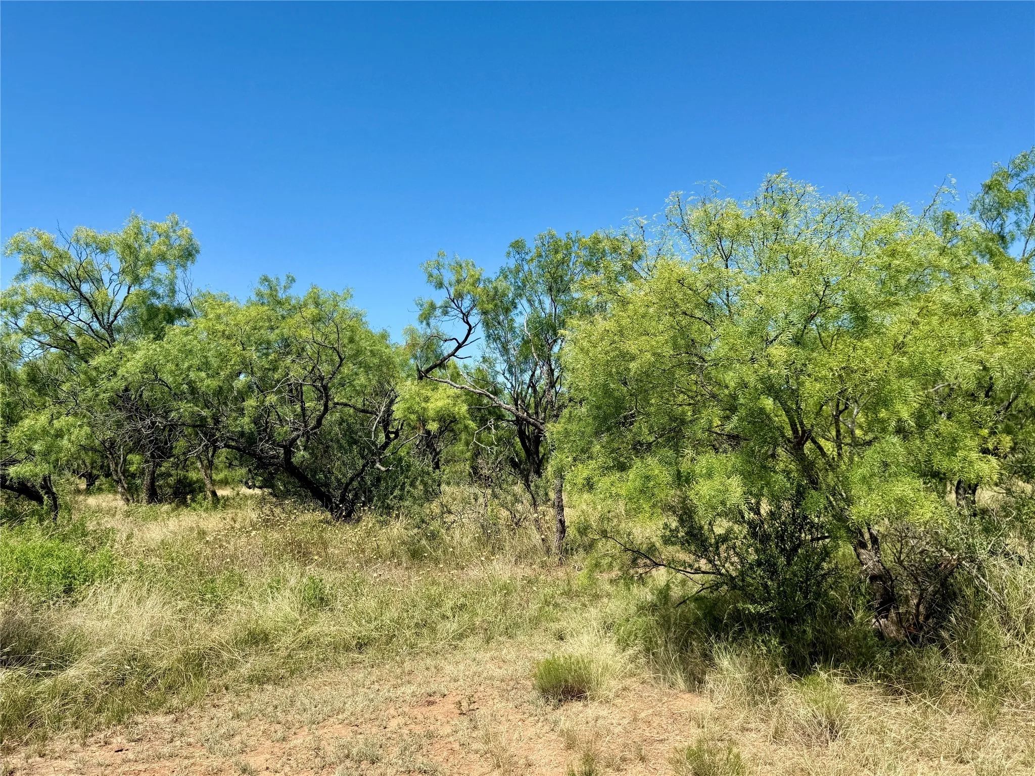 Unimproved Land For Sale in Brown County , TBD County Road 121, Cross Plains, Texas 76443, 0, 0, Garage spaces, 0 Sqft, built in 0, mls#21071877, Real Estate Agent in Cross Plains, Homes For Sale in Brown county, Homes For Sale in Cross Plains, Realtor in Cross Plains Texas, Real Estate Brokerage Independent Realty Texas, Luminita Cordes Realtor