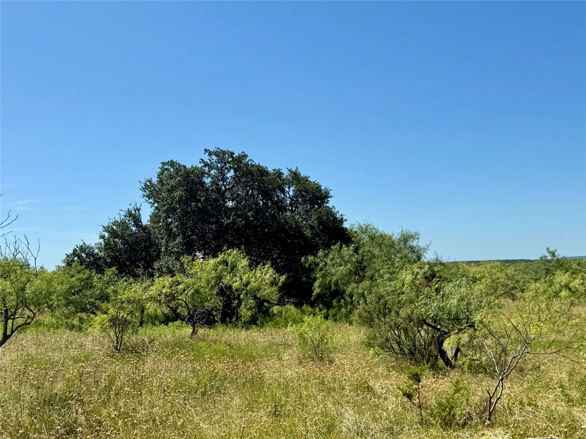 Unimproved Land For Sale in Brown County , TBD County Road 121, Cross Plains, Texas 76443, 0, 0, Garage spaces, 0 Sqft, built in 0, mls#21071877, Real Estate Agent in Cross Plains, Homes For Sale in Brown county, Homes For Sale in Cross Plains, Realtor in Cross Plains Texas, Real Estate Brokerage Independent Realty Texas, Luminita Cordes Realtor
