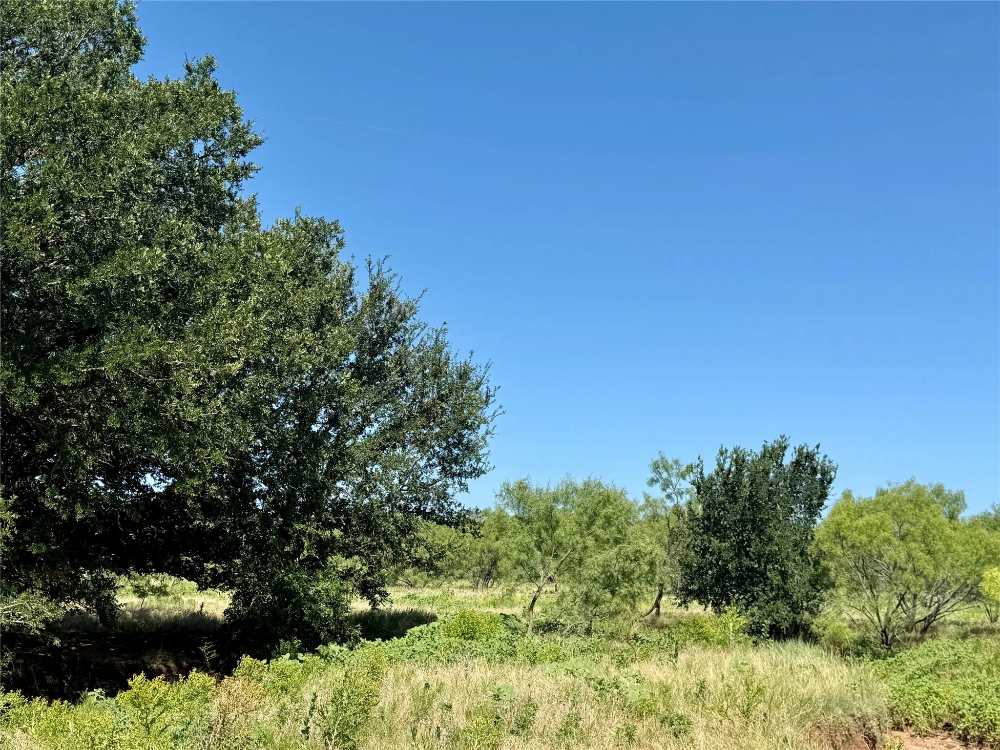 Unimproved Land For Sale in Brown County , TBD County Road 121, Cross Plains, Texas 76443, 0, 0, Garage spaces, 0 Sqft, built in 0, mls#21071877, Real Estate Agent in Cross Plains, Homes For Sale in Brown county, Homes For Sale in Cross Plains, Realtor in Cross Plains Texas, Real Estate Brokerage Independent Realty Texas, Luminita Cordes Realtor