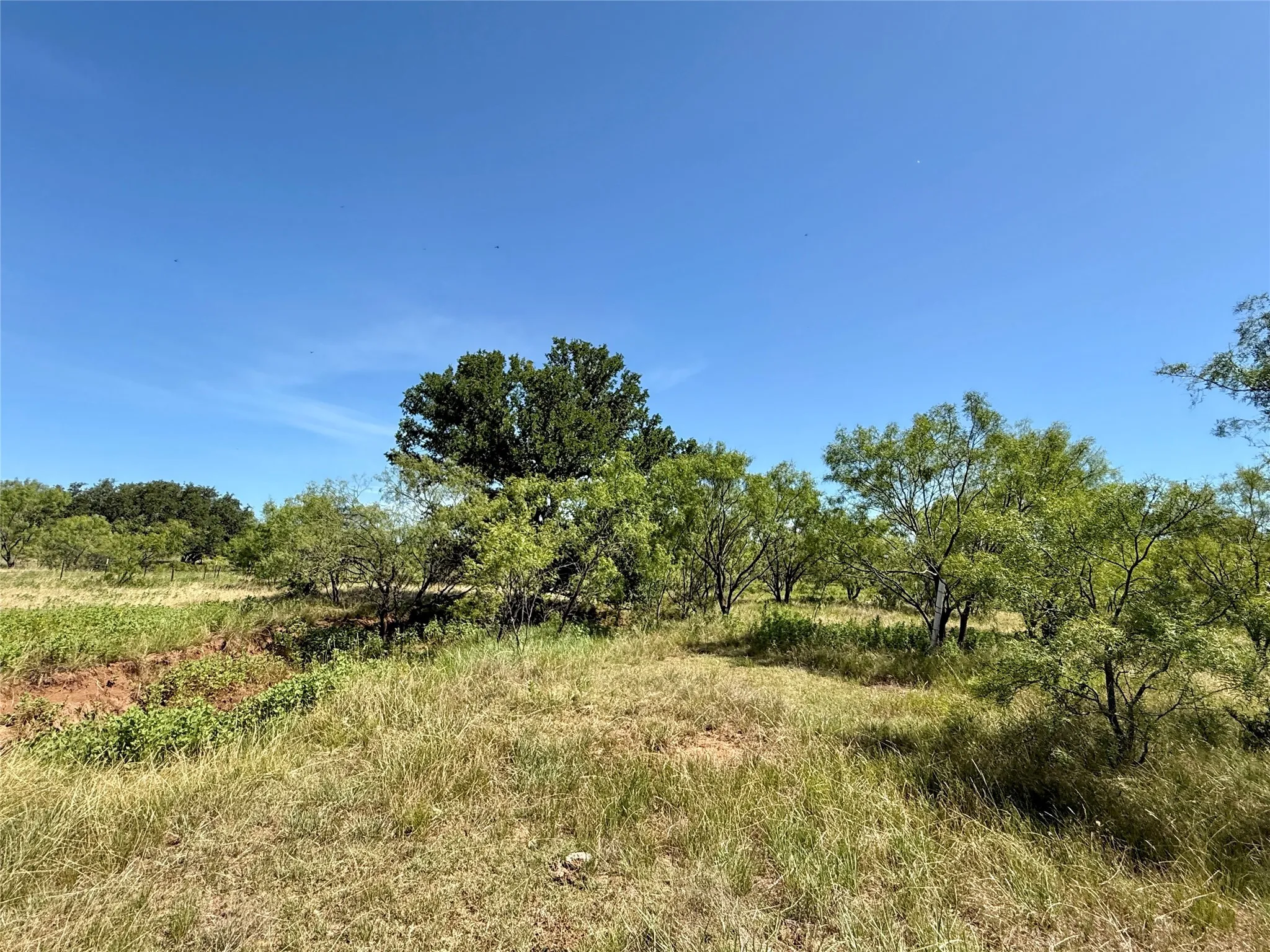 Unimproved Land For Sale in Brown County , TBD County Road 121, Cross Plains, Texas 76443, 0, 0, Garage spaces, 0 Sqft, built in 0, mls#21071877, Real Estate Agent in Cross Plains, Homes For Sale in Brown county, Homes For Sale in Cross Plains, Realtor in Cross Plains Texas, Real Estate Brokerage Independent Realty Texas, Luminita Cordes Realtor