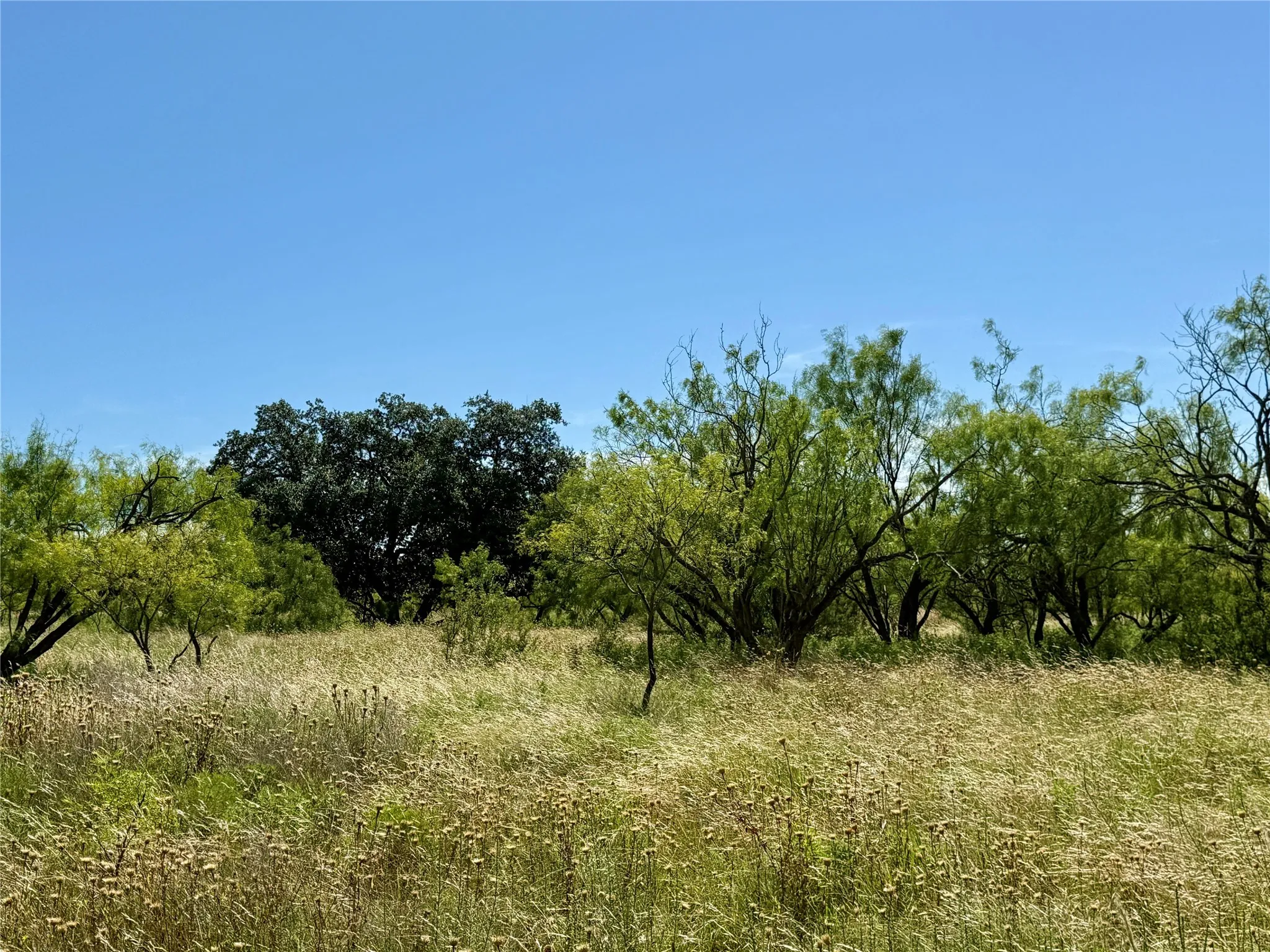 Unimproved Land For Sale in Brown County , TBD County Road 121, Cross Plains, Texas 76443, 0, 0, Garage spaces, 0 Sqft, built in 0, mls#21071877, Real Estate Agent in Cross Plains, Homes For Sale in Brown county, Homes For Sale in Cross Plains, Realtor in Cross Plains Texas, Real Estate Brokerage Independent Realty Texas, Luminita Cordes Realtor