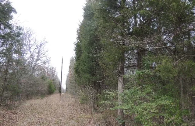 Unimproved Land For Sale in Rains County , TBD County Road 4455, Point, Texas 75472, 0, 0, Garage spaces, 0 Sqft, built in 0, Price $299,999, mls#21071886, Real Estate Agent in Point, Homes For Sale in Rains county, Homes For Sale in Point, Realtor in Point Texas, Real Estate Brokerage Independent Realty Texas, Luminita Cordes Realtor