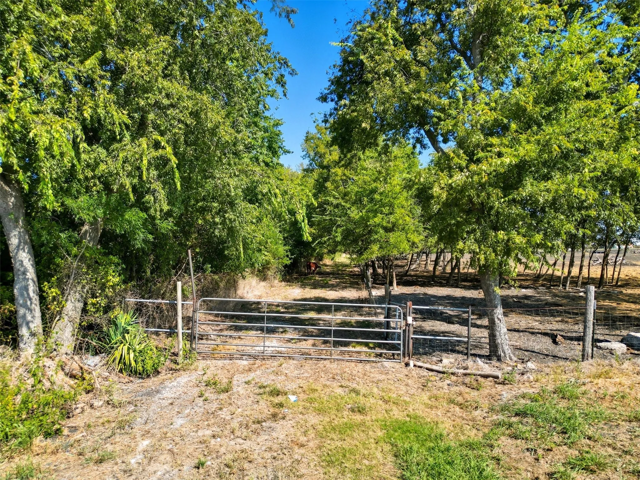 Unimproved Land For Sale in Hunt County , TBD Off Fm 3427, Wolfe City, Texas 75496, 0, 0, Garage spaces, 0 Sqft, built in 0, mls#21071980, Real Estate Agent in Wolfe City, Homes For Sale in Hunt county, Homes For Sale in Wolfe City, Realtor in Wolfe City Texas, Real Estate Brokerage Independent Realty Texas, Luminita Cordes Realtor