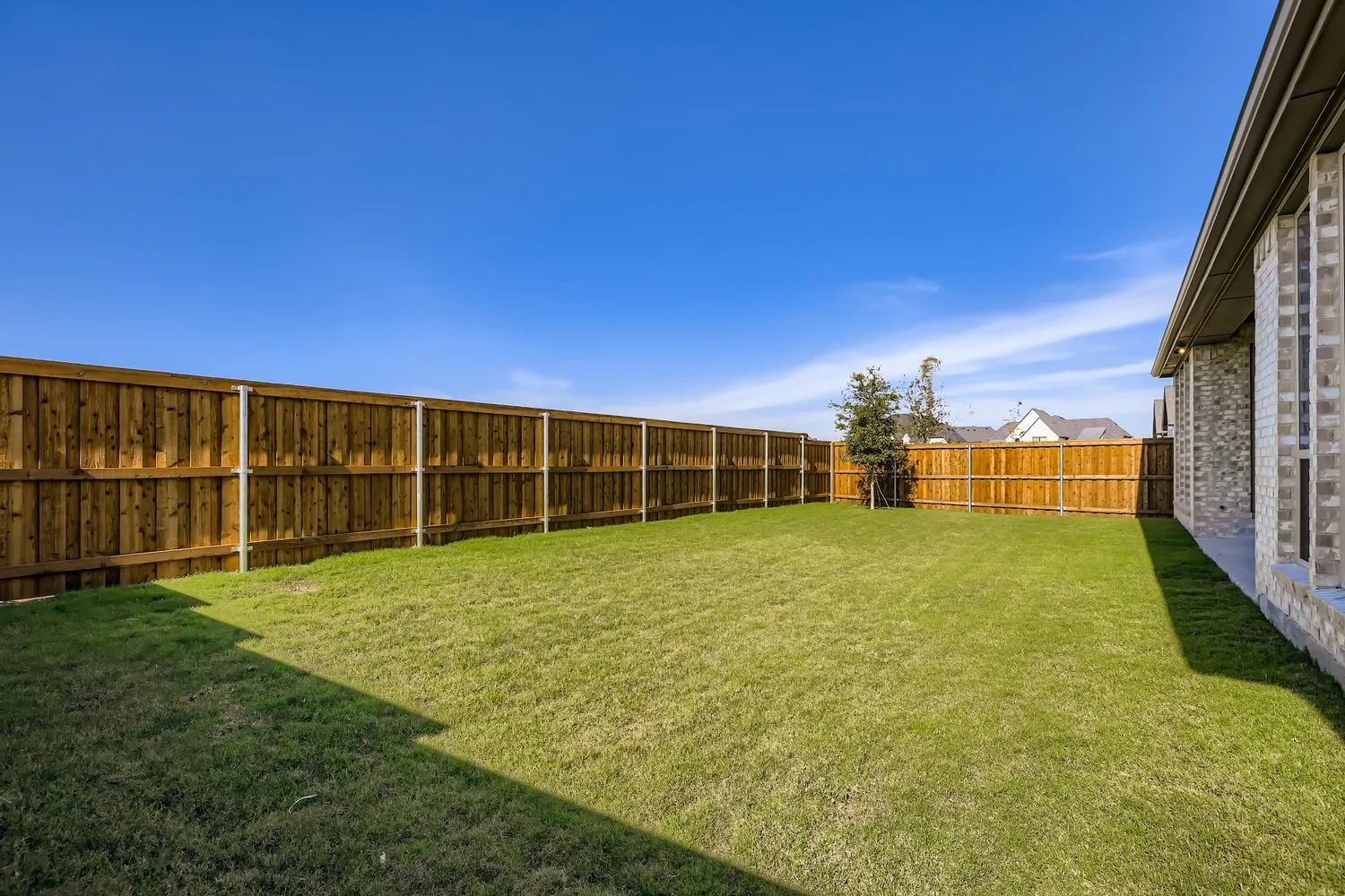 View of fenced backyard