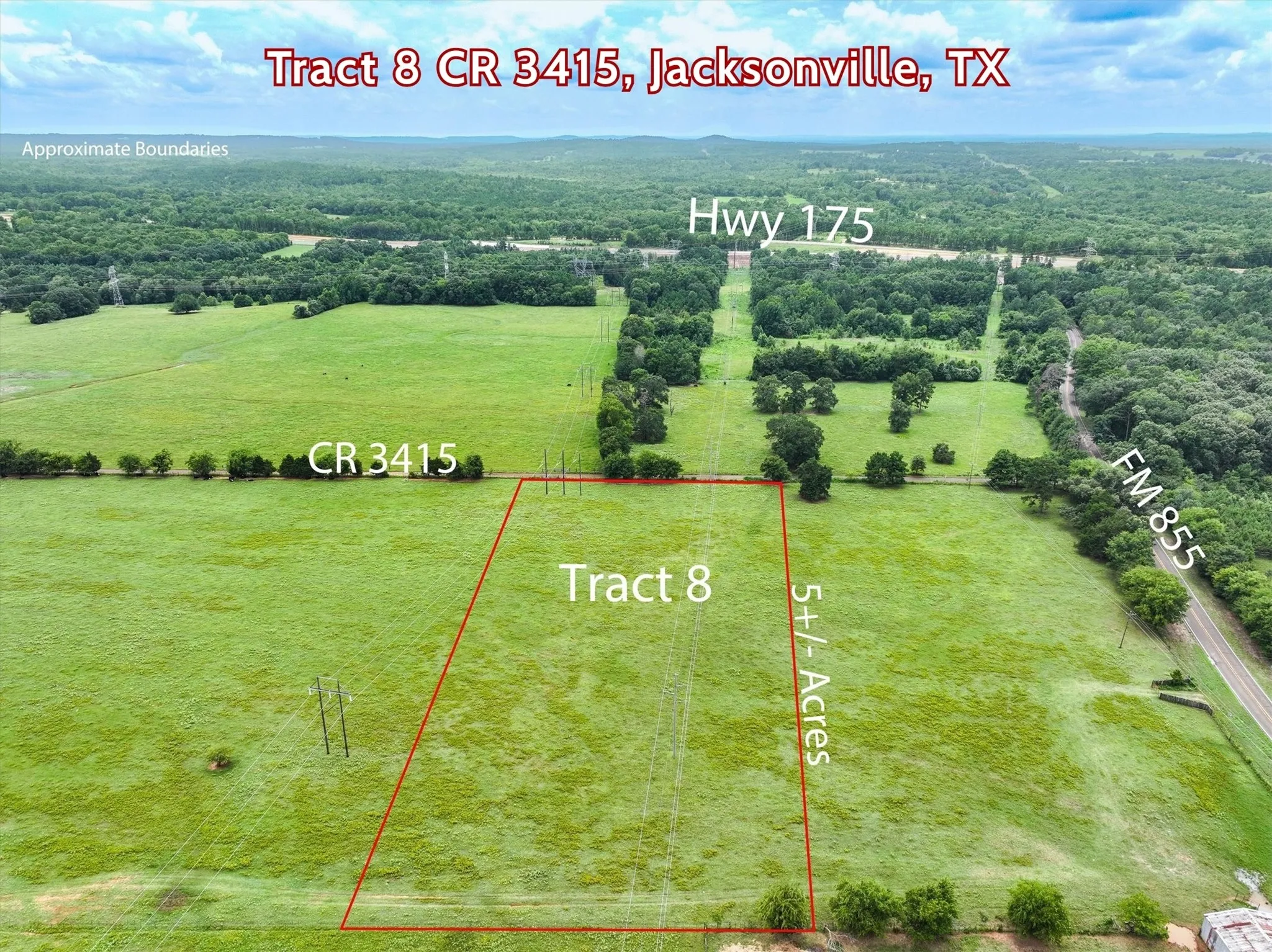 Unimproved Land For Sale in Cherokee County , Tract 8 County Road 3415, Jacksonville, Texas 75766, 0, 0, Garage spaces, 0 Sqft, built in 0, Price $125,000, mls#21061962, Real Estate Agent in Jacksonville, Homes For Sale in Cherokee county, Homes For Sale in Jacksonville, Realtor in Jacksonville Texas, Real Estate Brokerage Independent Realty Texas, Luminita Cordes Realtor
