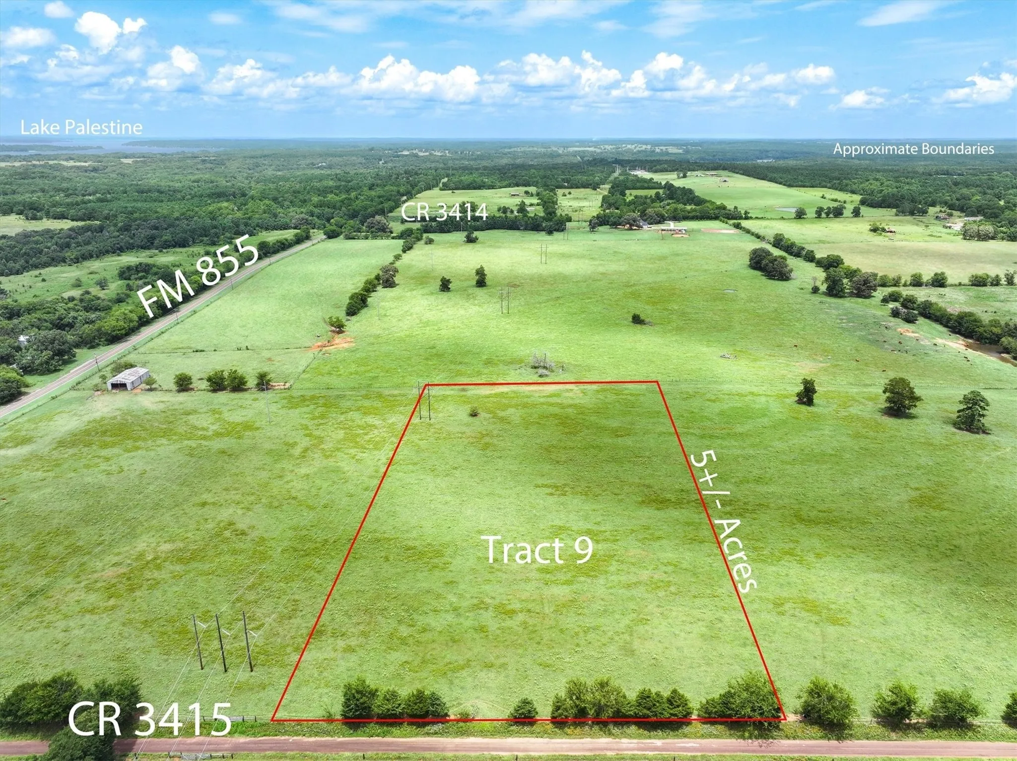 Unimproved Land For Sale in Cherokee County , Tract 9 County Road 3415, Jacksonville, Texas 75766, 0, 0, Garage spaces, 0 Sqft, built in 0, Price $125,000, mls#21061971, Real Estate Agent in Jacksonville, Homes For Sale in Cherokee county, Homes For Sale in Jacksonville, Realtor in Jacksonville Texas, Real Estate Brokerage Independent Realty Texas, Luminita Cordes Realtor