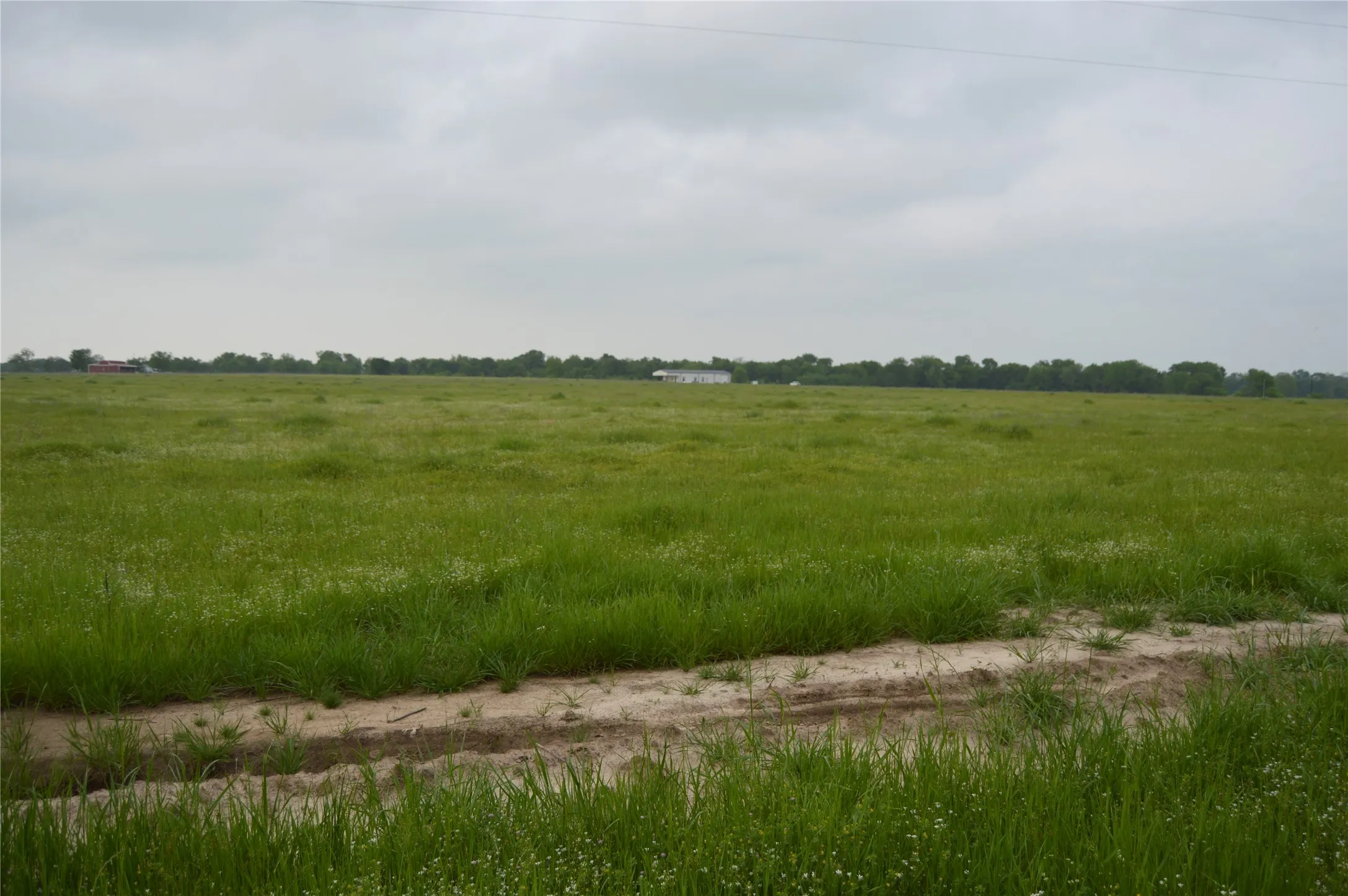 Unimproved Land For Sale in Rains County , TBD Lot 2 RS County Road 1520, Point, Texas 75472, 0, 0, Garage spaces, 0 Sqft, built in 0, Price $75,000, mls#21072600, Real Estate Agent in Point, Homes For Sale in Rains county, Homes For Sale in Point, Realtor in Point Texas, Real Estate Brokerage Independent Realty Texas, Luminita Cordes Realtor