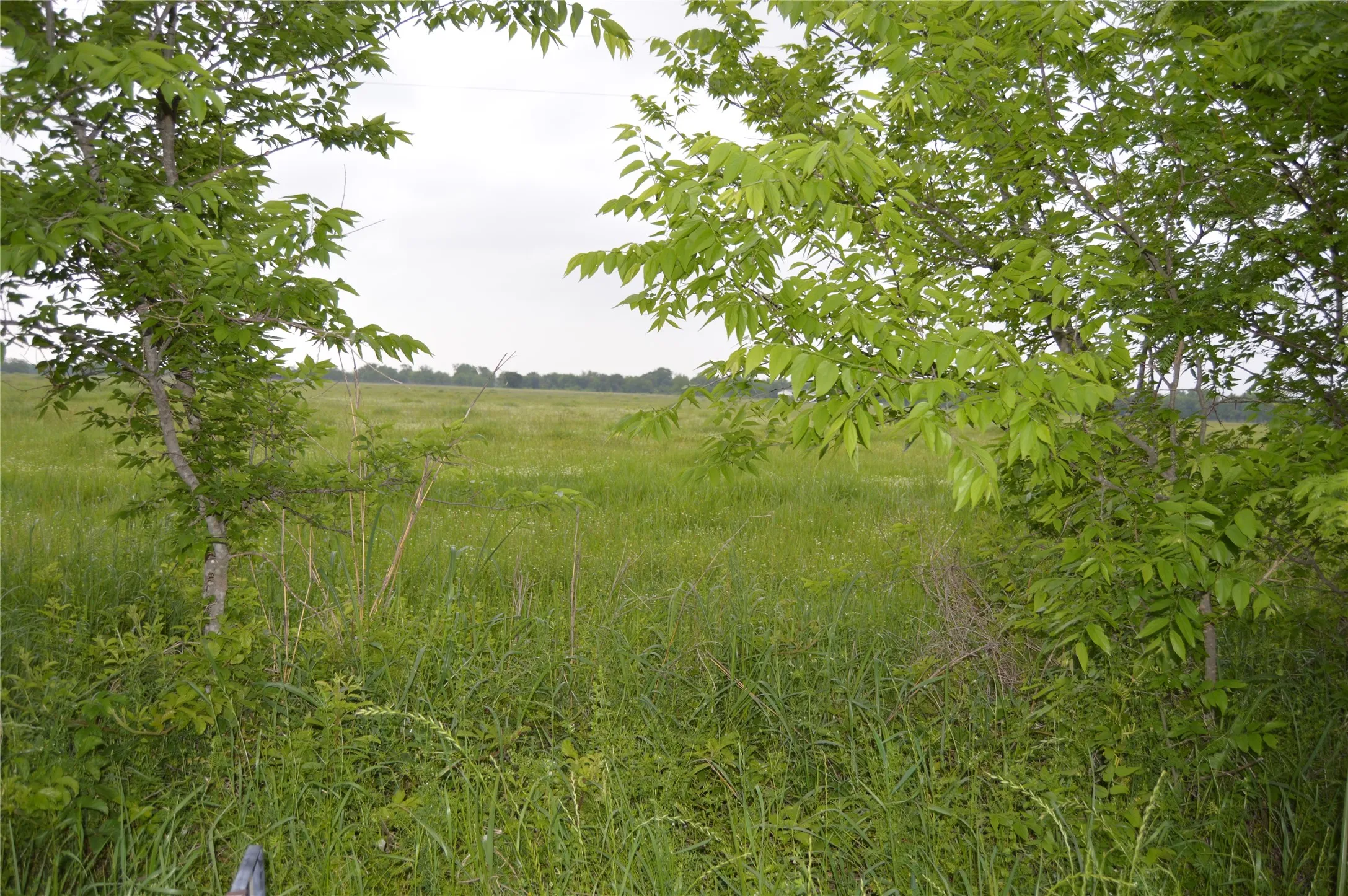 Unimproved Land For Sale in Rains County , TBD Lot 2 RS County Road 1520, Point, Texas 75472, 0, 0, Garage spaces, 0 Sqft, built in 0, Price $75,000, mls#21072600, Real Estate Agent in Point, Homes For Sale in Rains county, Homes For Sale in Point, Realtor in Point Texas, Real Estate Brokerage Independent Realty Texas, Luminita Cordes Realtor