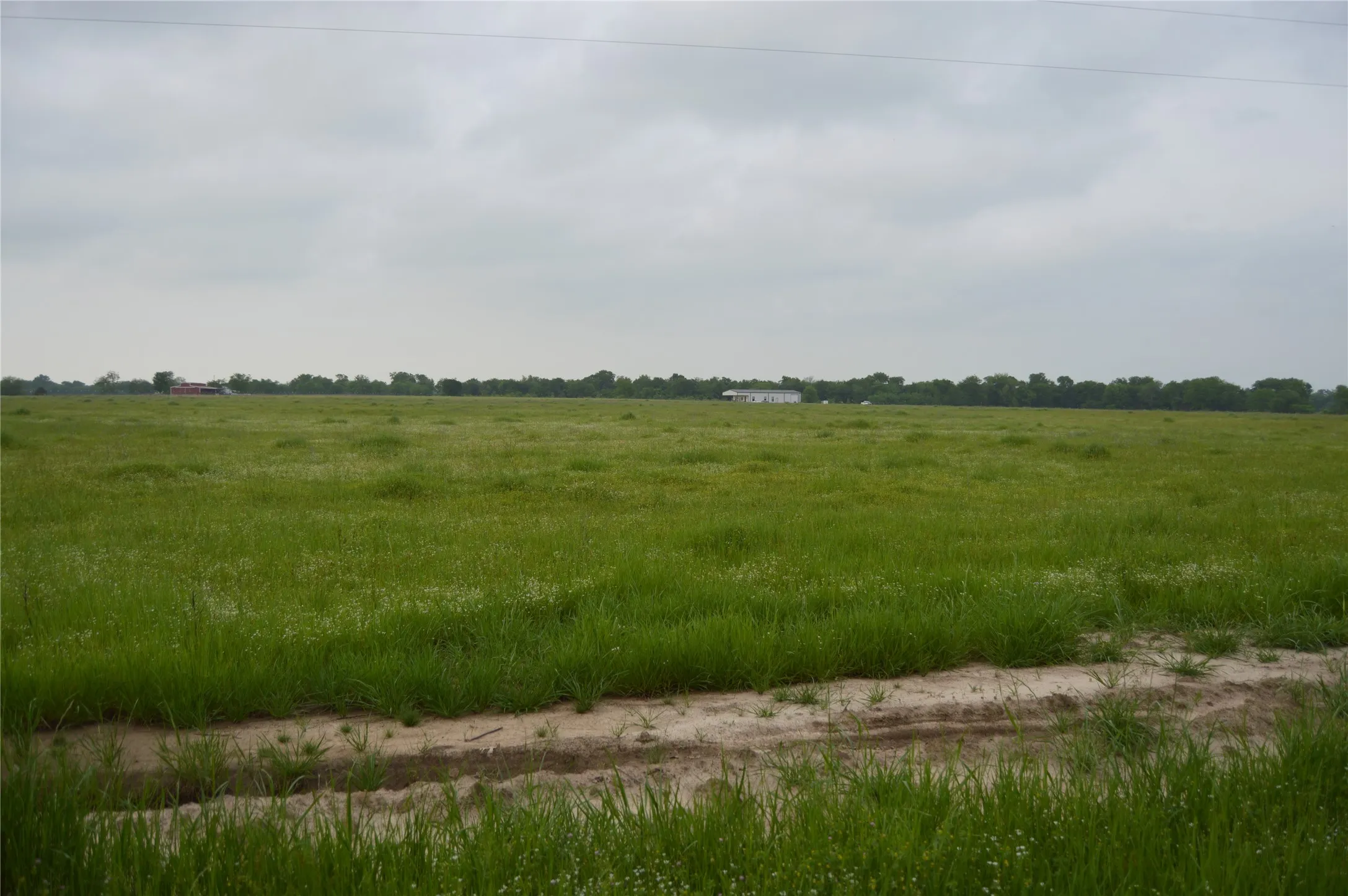 Unimproved Land For Sale in Rains County , TBD Lot 2 RS County Road 1520, Point, Texas 75472, 0, 0, Garage spaces, 0 Sqft, built in 0, Price $75,000, mls#21072600, Real Estate Agent in Point, Homes For Sale in Rains county, Homes For Sale in Point, Realtor in Point Texas, Real Estate Brokerage Independent Realty Texas, Luminita Cordes Realtor