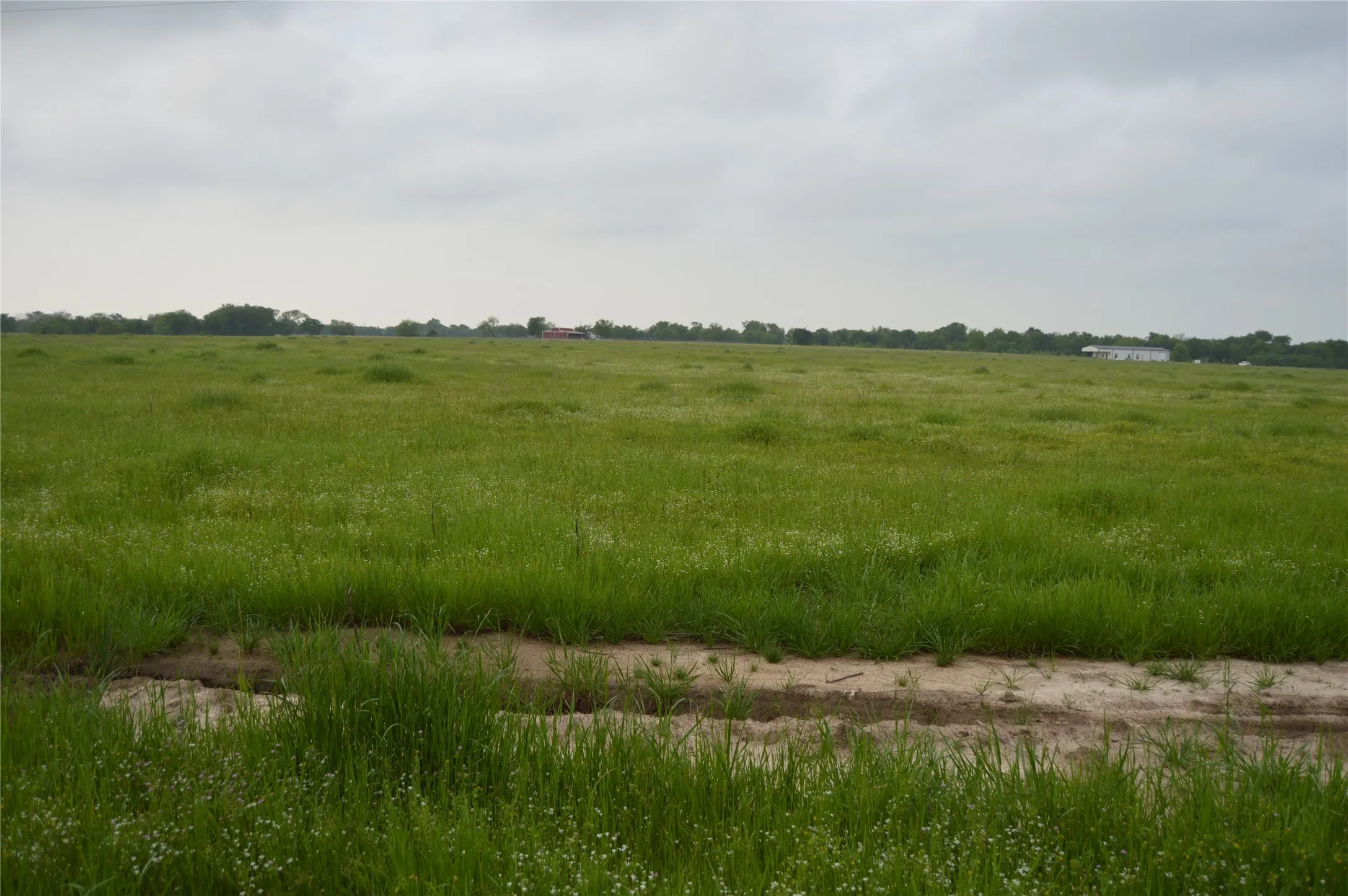 Unimproved Land For Sale in Rains County , TBD Lot 2 RS County Road 1520, Point, Texas 75472, 0, 0, Garage spaces, 0 Sqft, built in 0, Price $75,000, mls#21072600, Real Estate Agent in Point, Homes For Sale in Rains county, Homes For Sale in Point, Realtor in Point Texas, Real Estate Brokerage Independent Realty Texas, Luminita Cordes Realtor