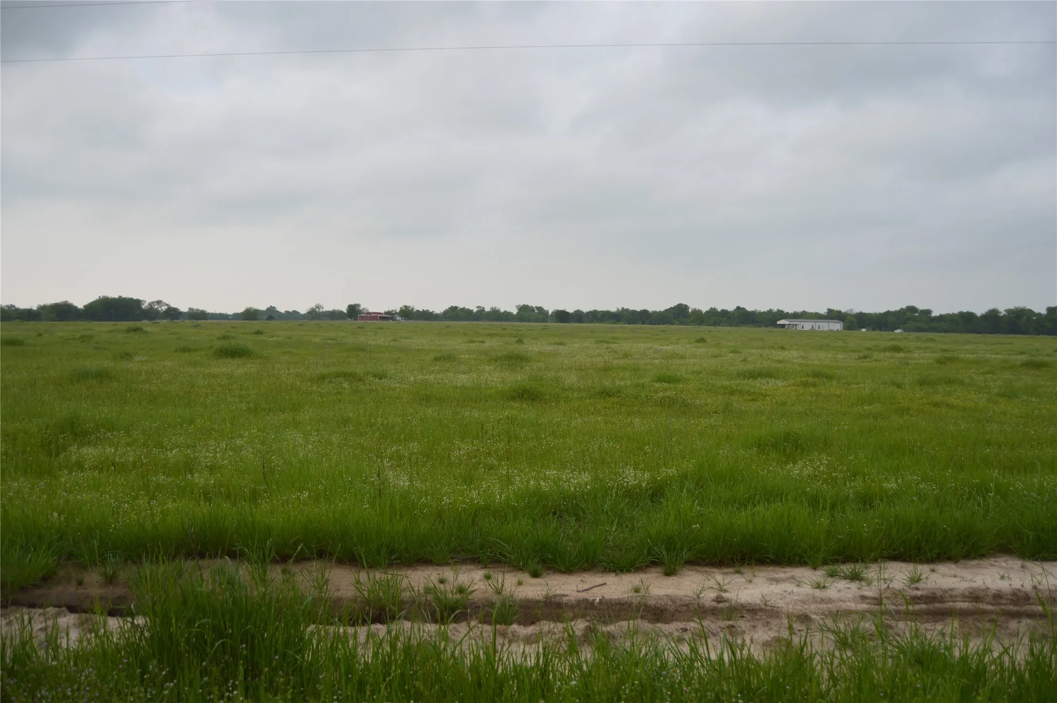 Unimproved Land For Sale in Rains County , TBD Lot 2 RS County Road 1520, Point, Texas 75472, 0, 0, Garage spaces, 0 Sqft, built in 0, Price $75,000, mls#21072600, Real Estate Agent in Point, Homes For Sale in Rains county, Homes For Sale in Point, Realtor in Point Texas, Real Estate Brokerage Independent Realty Texas, Luminita Cordes Realtor