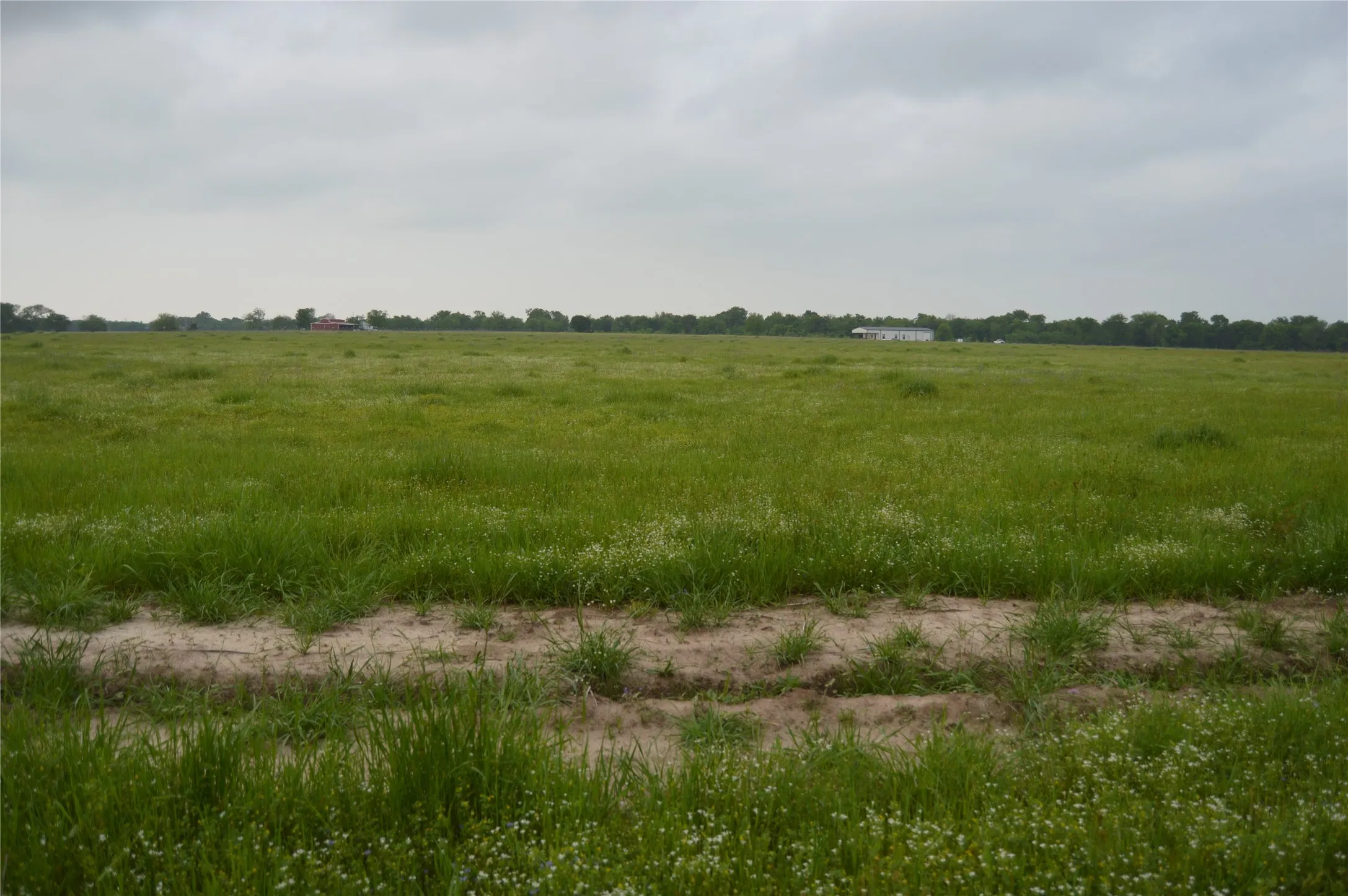 Unimproved Land For Sale in Rains County , TBD Lot 2 RS County Road 1520, Point, Texas 75472, 0, 0, Garage spaces, 0 Sqft, built in 0, Price $75,000, mls#21072600, Real Estate Agent in Point, Homes For Sale in Rains county, Homes For Sale in Point, Realtor in Point Texas, Real Estate Brokerage Independent Realty Texas, Luminita Cordes Realtor