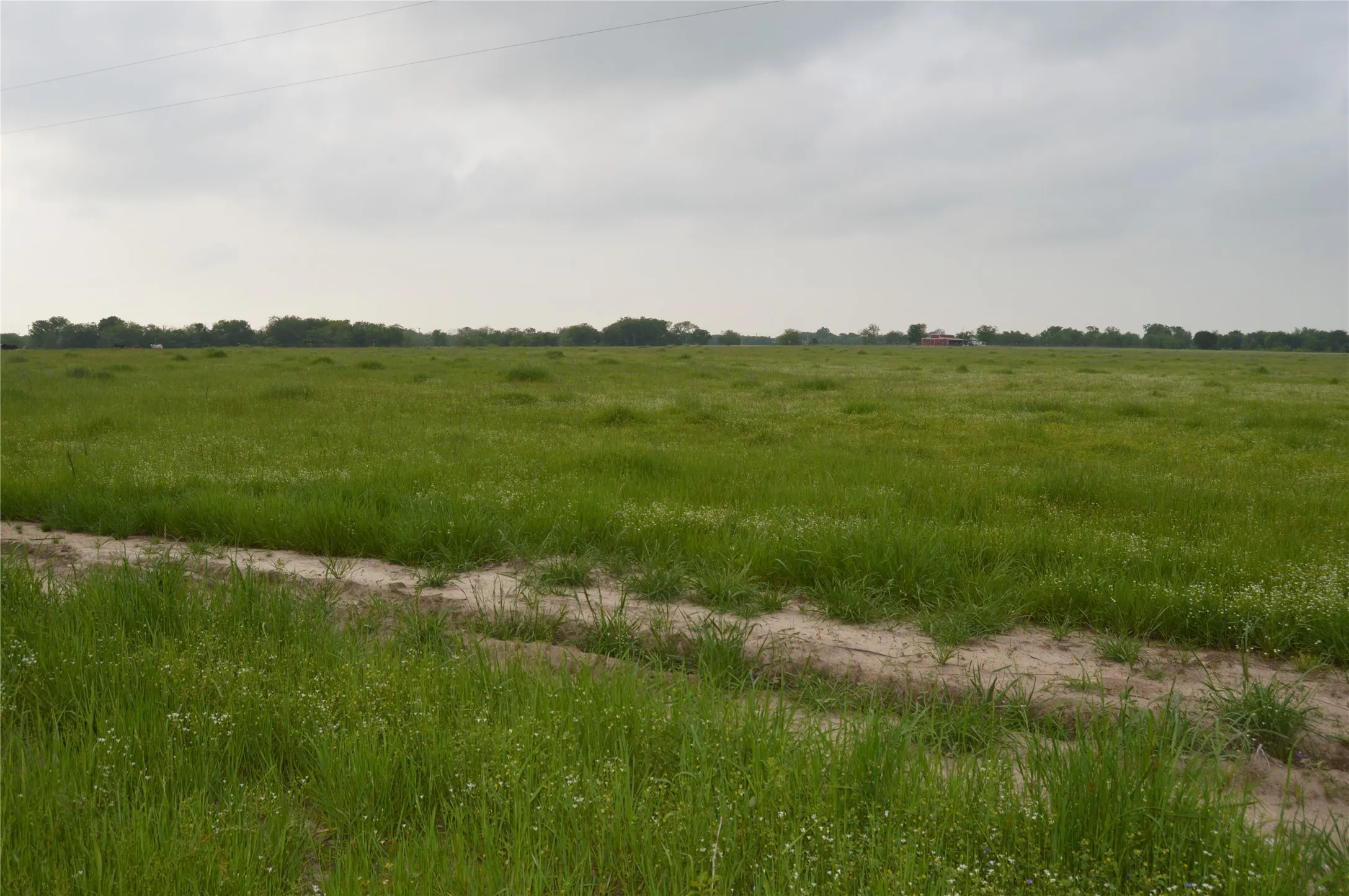 Unimproved Land For Sale in Rains County , TBD Lot 2 RS County Road 1520, Point, Texas 75472, 0, 0, Garage spaces, 0 Sqft, built in 0, Price $75,000, mls#21072600, Real Estate Agent in Point, Homes For Sale in Rains county, Homes For Sale in Point, Realtor in Point Texas, Real Estate Brokerage Independent Realty Texas, Luminita Cordes Realtor