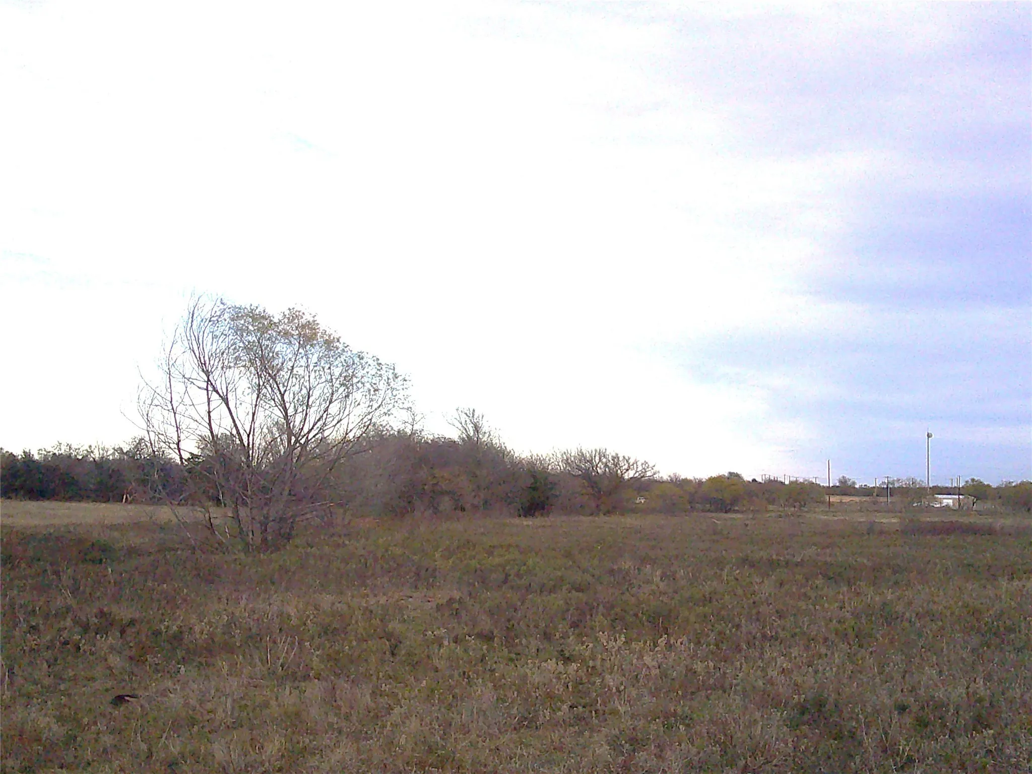 Unimproved Land For Sale in Wise County , 63 AC. FM 2210, Bridgeport, Texas 76426, 0, 0, Garage spaces, 0 Sqft, built in 0, Price $589,000, mls#21072701, Real Estate Agent in Bridgeport, Homes For Sale in Wise county, Homes For Sale in Bridgeport, Realtor in Bridgeport Texas, Real Estate Brokerage Independent Realty Texas, Luminita Cordes Realtor