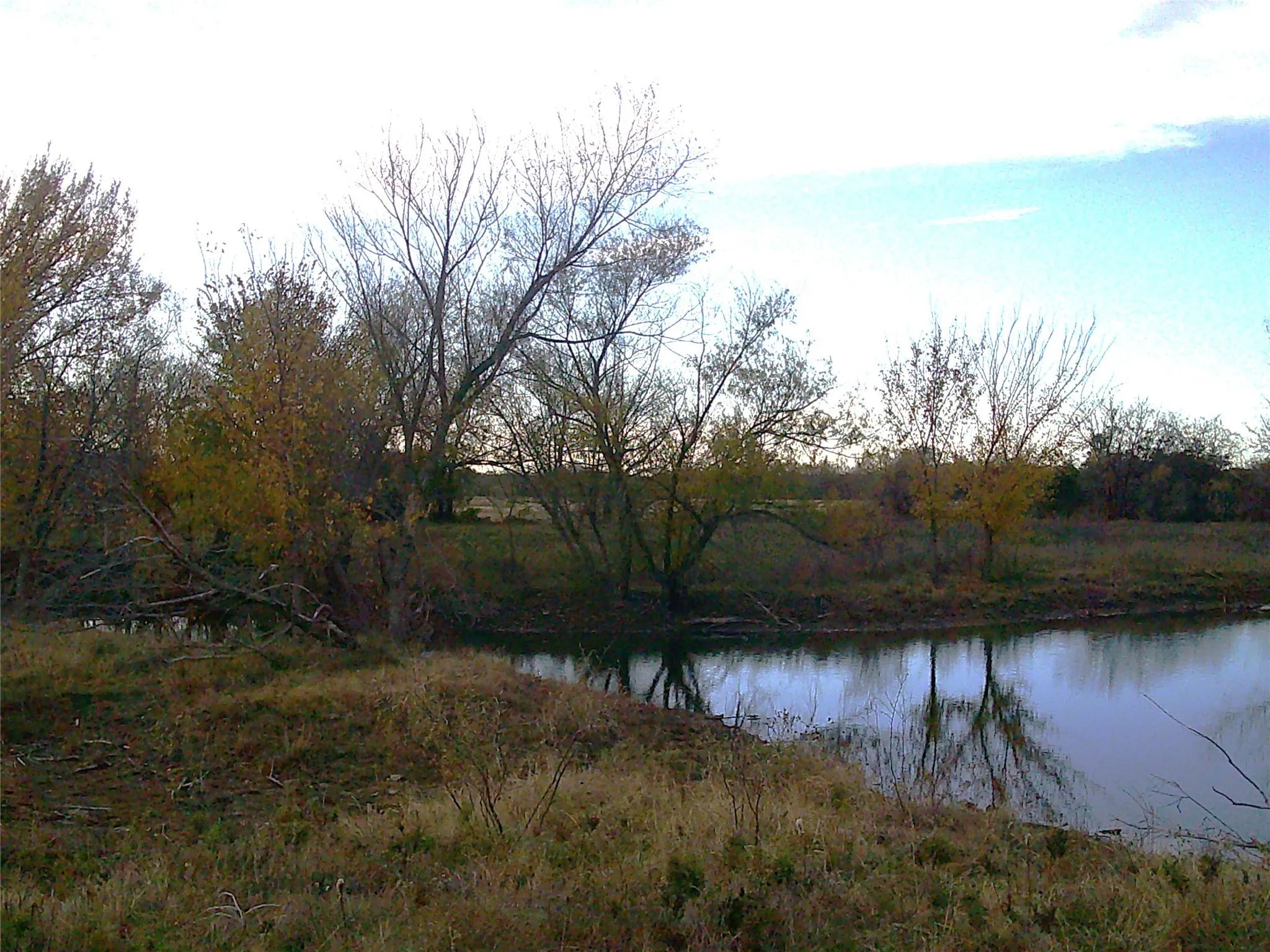 Unimproved Land For Sale in Wise County , 63 AC. FM 2210, Bridgeport, Texas 76426, 0, 0, Garage spaces, 0 Sqft, built in 0, Price $589,000, mls#21072701, Real Estate Agent in Bridgeport, Homes For Sale in Wise county, Homes For Sale in Bridgeport, Realtor in Bridgeport Texas, Real Estate Brokerage Independent Realty Texas, Luminita Cordes Realtor