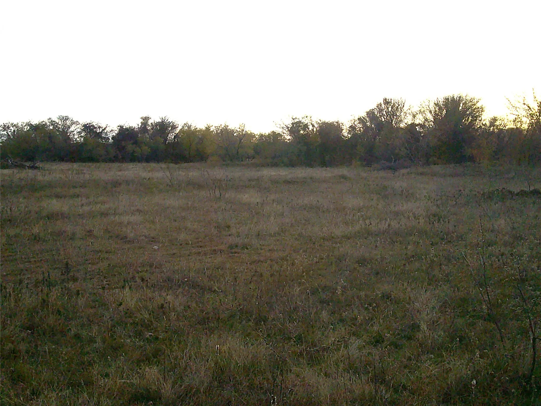 Unimproved Land For Sale in Wise County , 63 AC. FM 2210, Bridgeport, Texas 76426, 0, 0, Garage spaces, 0 Sqft, built in 0, Price $589,000, mls#21072701, Real Estate Agent in Bridgeport, Homes For Sale in Wise county, Homes For Sale in Bridgeport, Realtor in Bridgeport Texas, Real Estate Brokerage Independent Realty Texas, Luminita Cordes Realtor