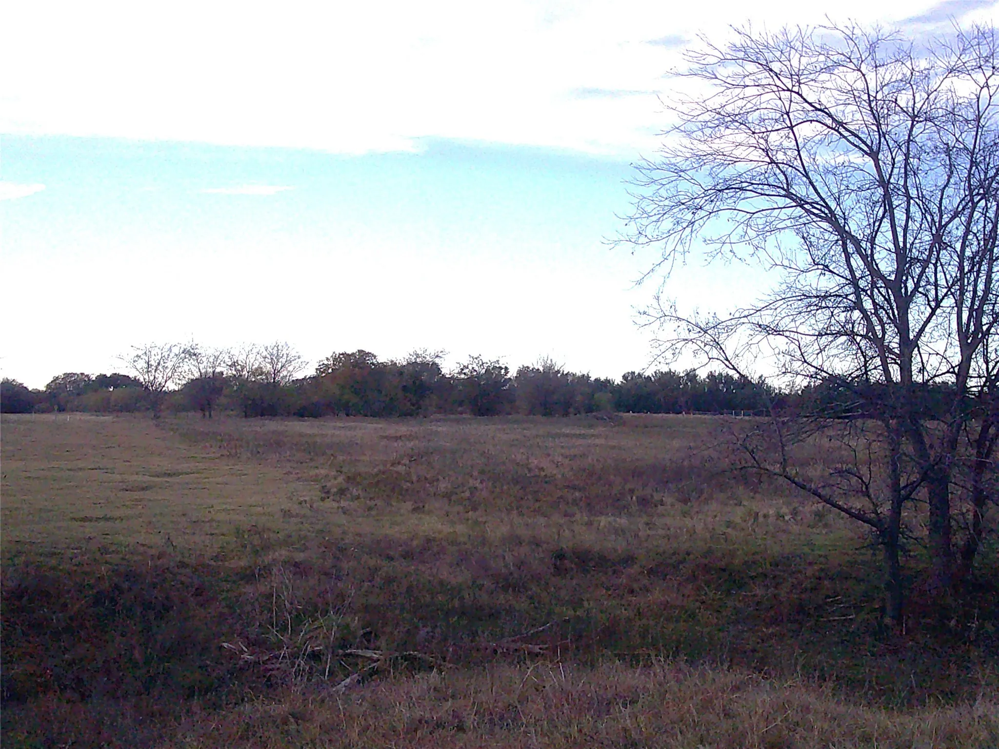 Unimproved Land For Sale in Wise County , 63 AC. FM 2210, Bridgeport, Texas 76426, 0, 0, Garage spaces, 0 Sqft, built in 0, Price $589,000, mls#21072701, Real Estate Agent in Bridgeport, Homes For Sale in Wise county, Homes For Sale in Bridgeport, Realtor in Bridgeport Texas, Real Estate Brokerage Independent Realty Texas, Luminita Cordes Realtor