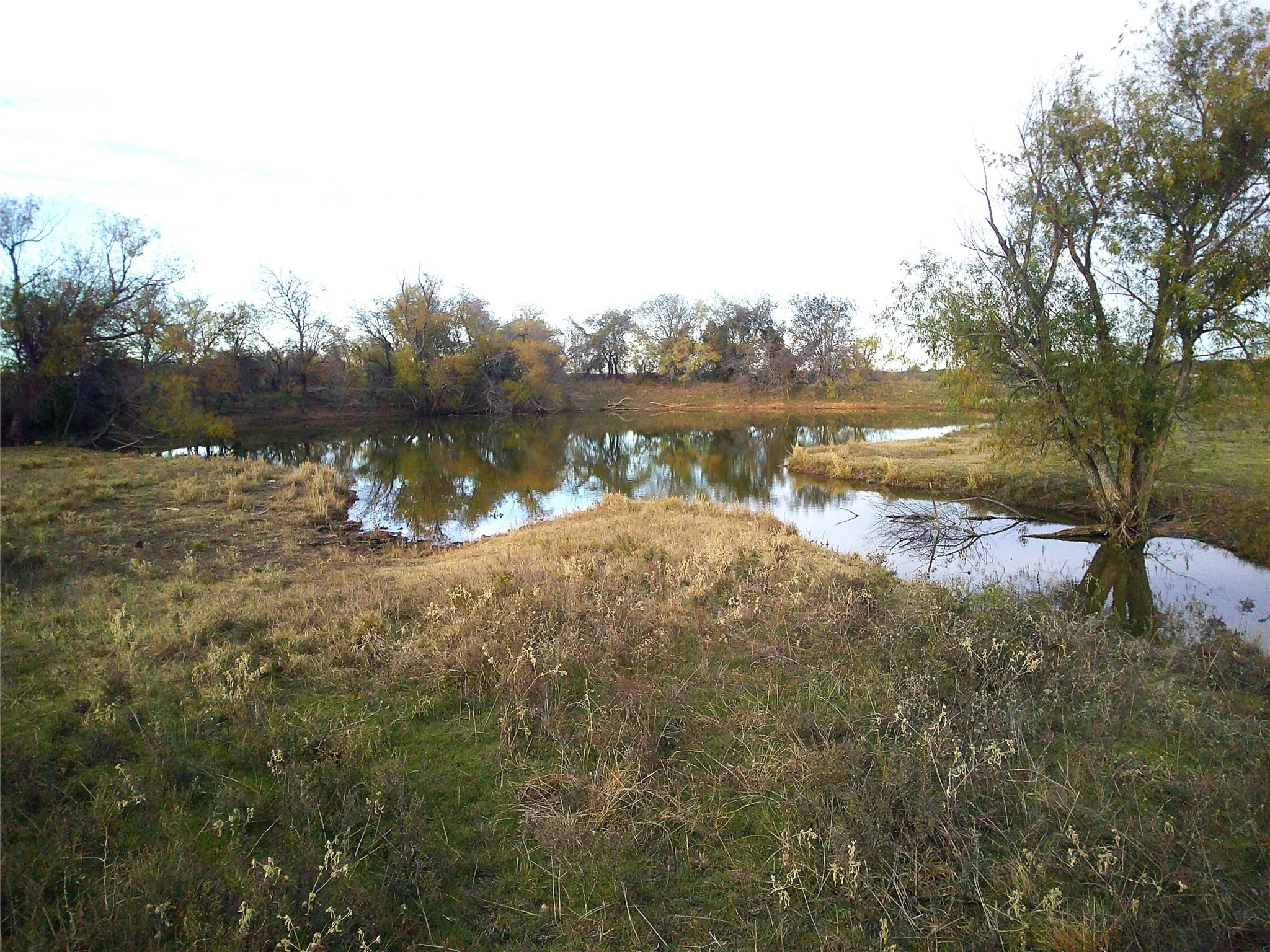 Unimproved Land For Sale in Wise County , 63 AC. FM 2210, Bridgeport, Texas 76426, 0, 0, Garage spaces, 0 Sqft, built in 0, Price $589,000, mls#21072701, Real Estate Agent in Bridgeport, Homes For Sale in Wise county, Homes For Sale in Bridgeport, Realtor in Bridgeport Texas, Real Estate Brokerage Independent Realty Texas, Luminita Cordes Realtor