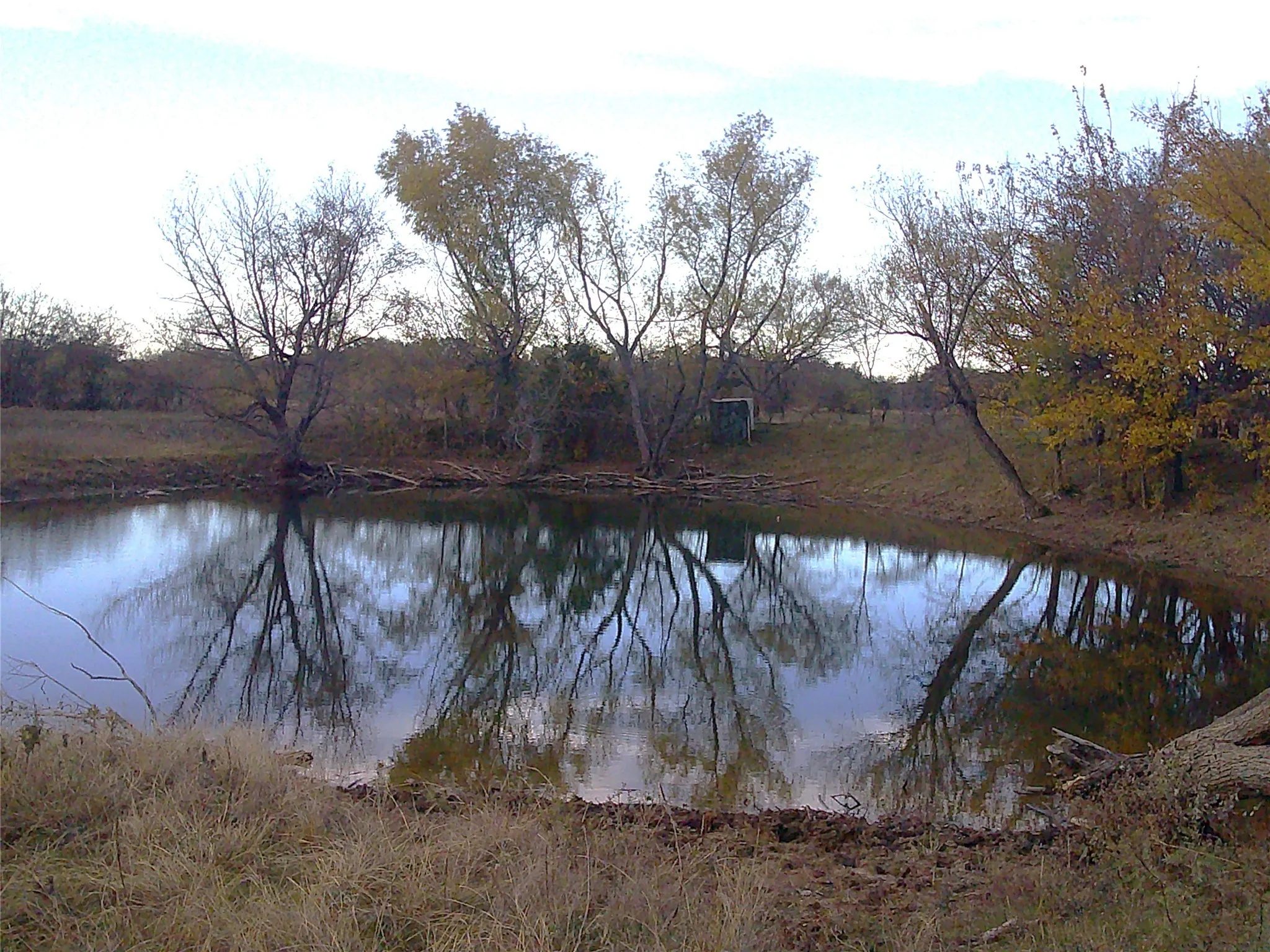 Unimproved Land For Sale in Wise County , 63 AC. FM 2210, Bridgeport, Texas 76426, 0, 0, Garage spaces, 0 Sqft, built in 0, Price $589,000, mls#21072701, Real Estate Agent in Bridgeport, Homes For Sale in Wise county, Homes For Sale in Bridgeport, Realtor in Bridgeport Texas, Real Estate Brokerage Independent Realty Texas, Luminita Cordes Realtor