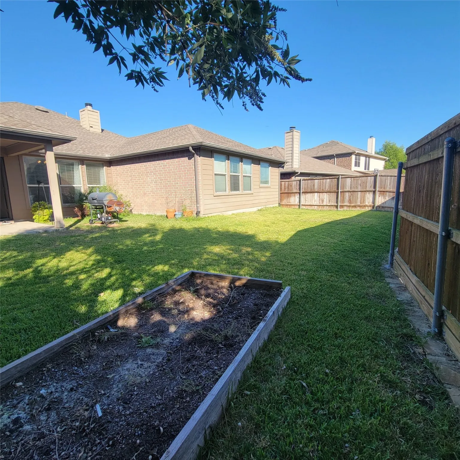 Backyard