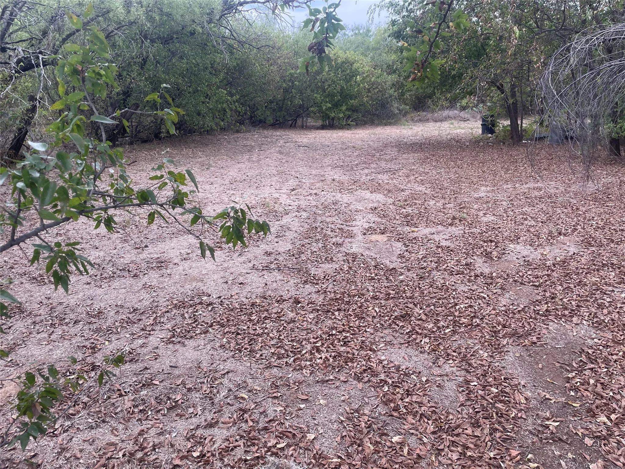 Additional lot .321 total acreage
