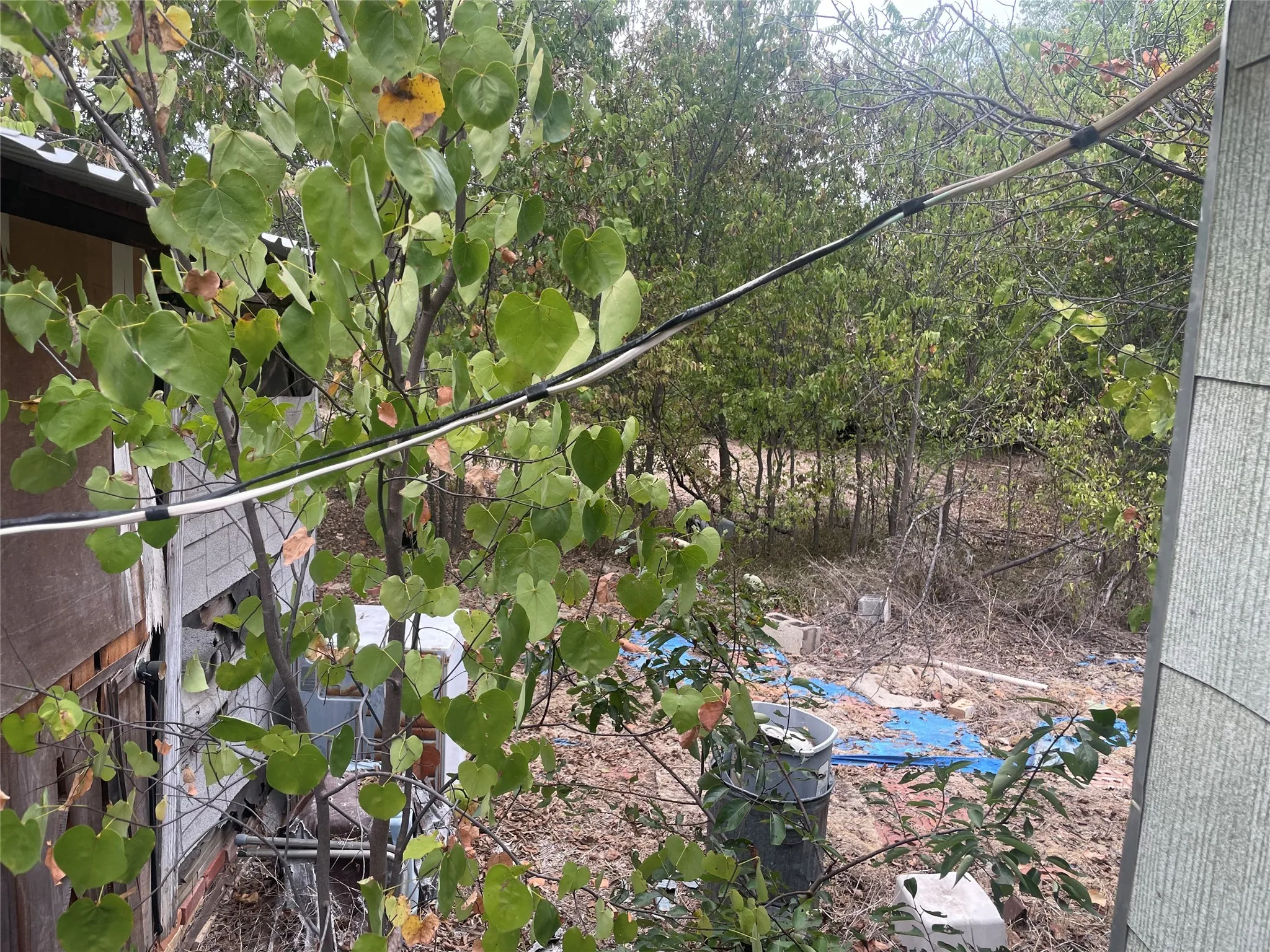 Single Family Residence For Sale in Stephens County , 210 & 212 W 2nd Street, Breckenridge, Texas 76424, 2 Bedroom, 1 Bathroom, 1 Garage spaces, 740 Sqft, built in 0, Preowned, Price $50,000, mls#21073315, Real Estate Agent in Breckenridge, Homes For Sale in Stephens county, Homes For Sale in Breckenridge, Realtor in Breckenridge Texas, Real Estate Brokerage Independent Realty Texas, Luminita Cordes Realtor