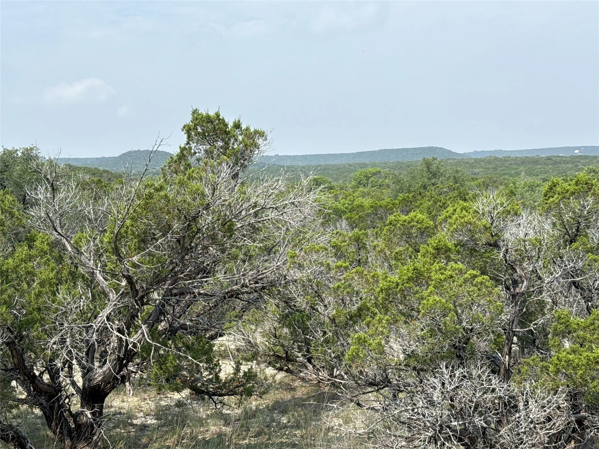 Extended Views