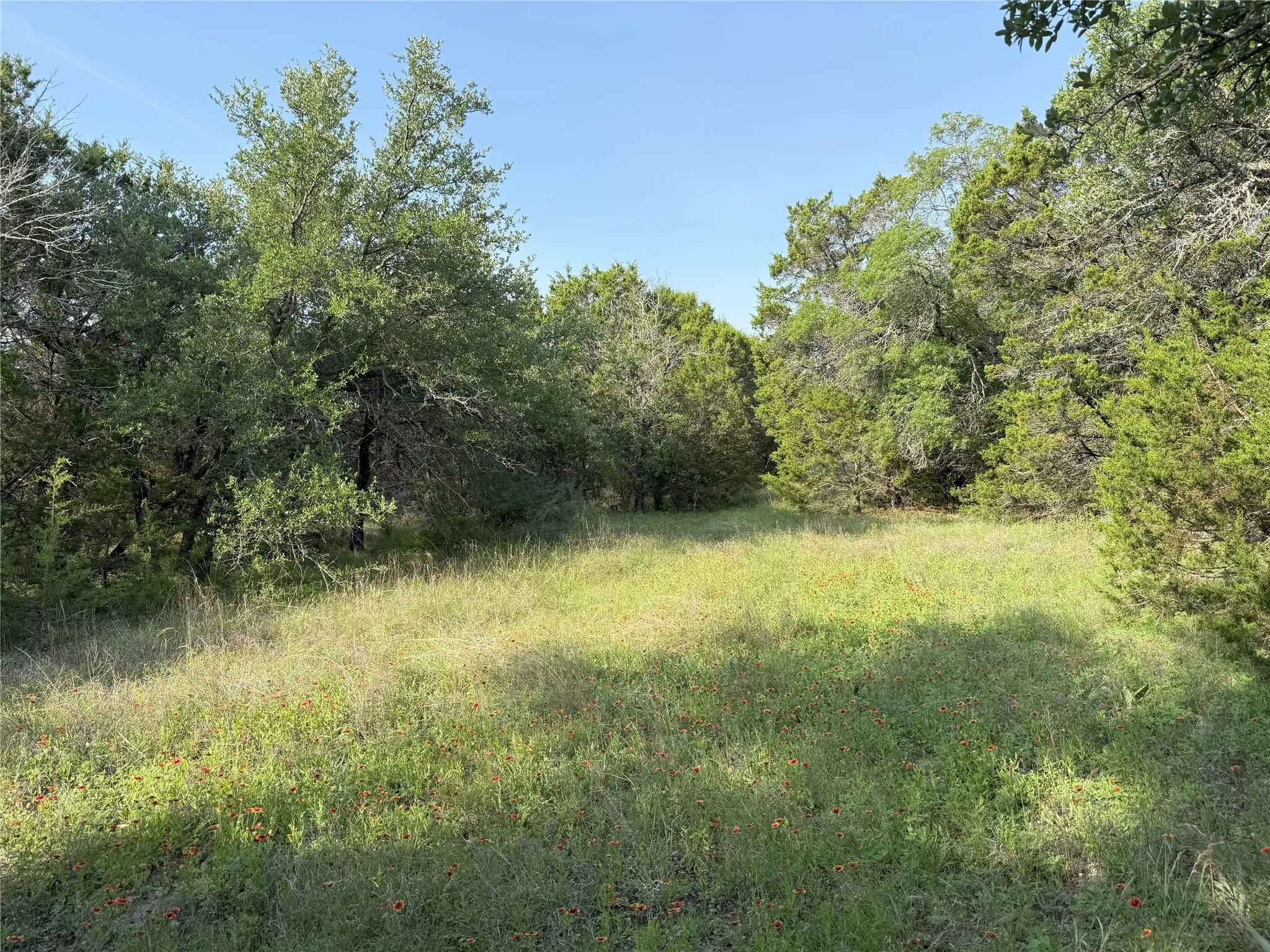 Places for food plots