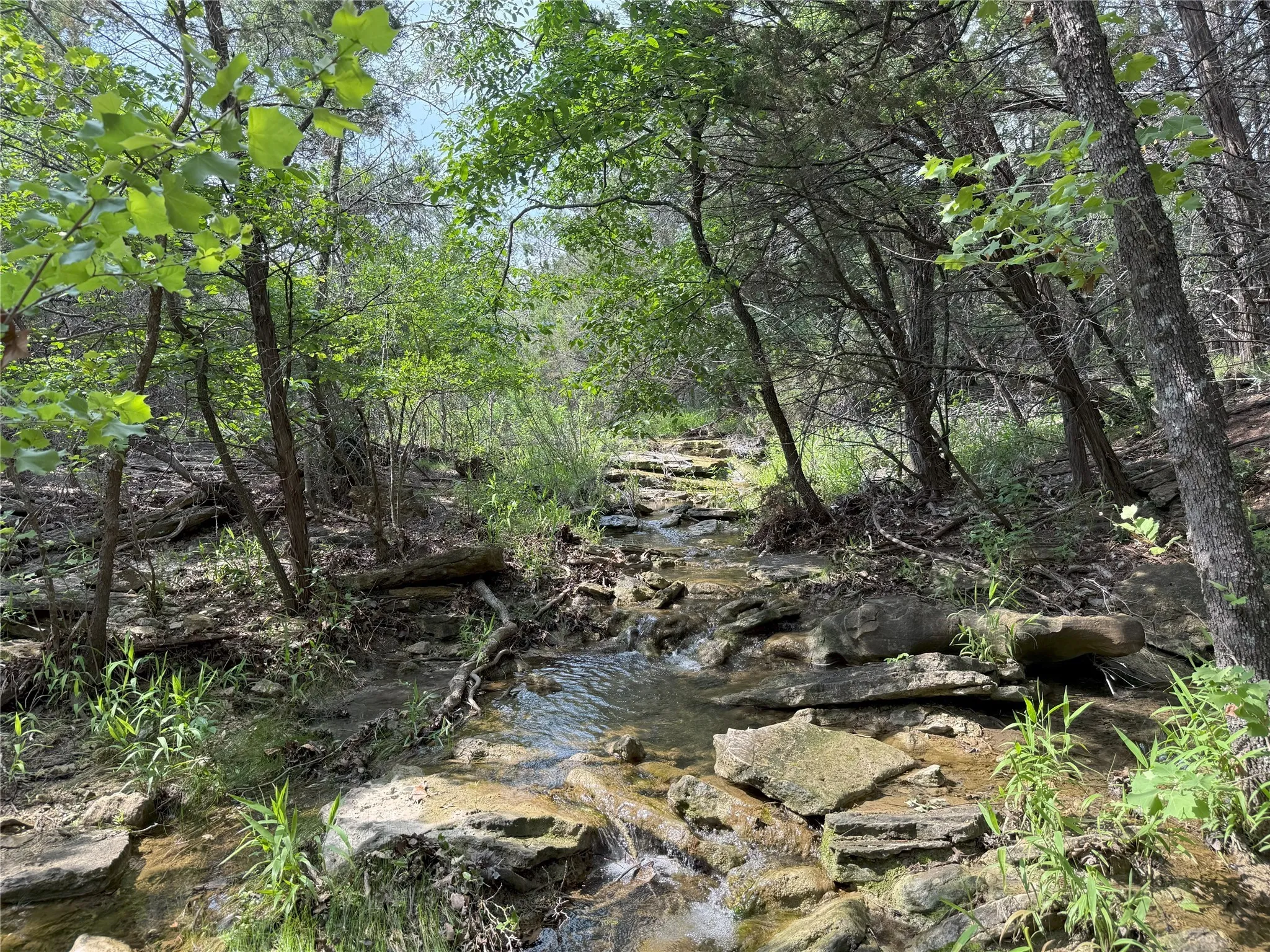 seasonal creek