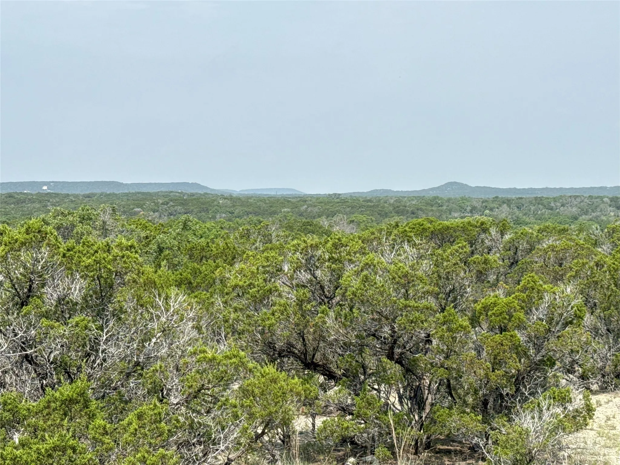 Unimproved Land For Sale in Somervell County , TBD 2010 Lot 7, Glen Rose, Texas 76043, 0, 0, Garage spaces, 0 Sqft, built in 1900, mls#21073480, Real Estate Agent in Glen Rose, Homes For Sale in Somervell county, Homes For Sale in Glen Rose, Realtor in Glen Rose Texas, Real Estate Brokerage Independent Realty Texas, Luminita Cordes Realtor