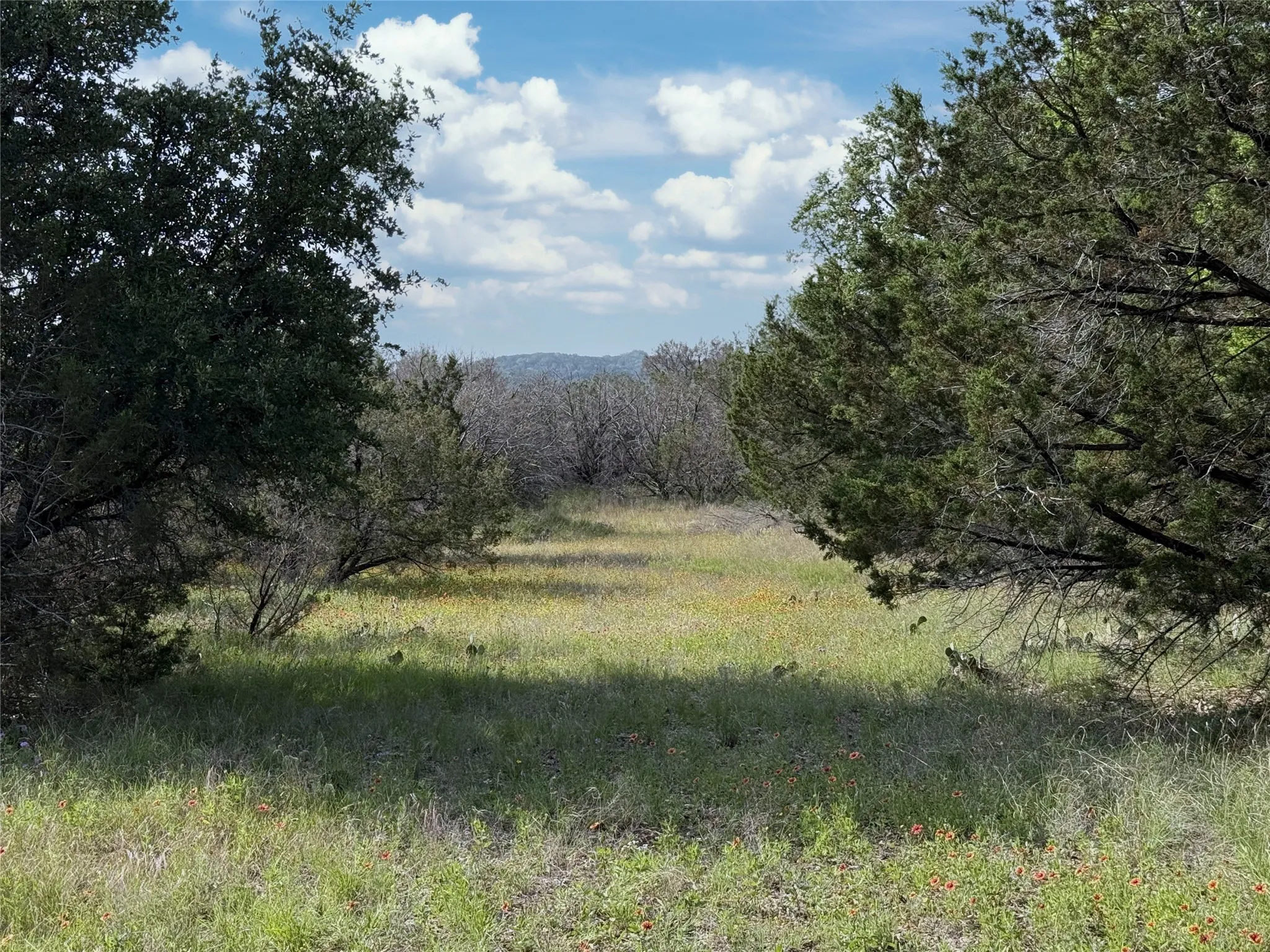 wildlife habitat