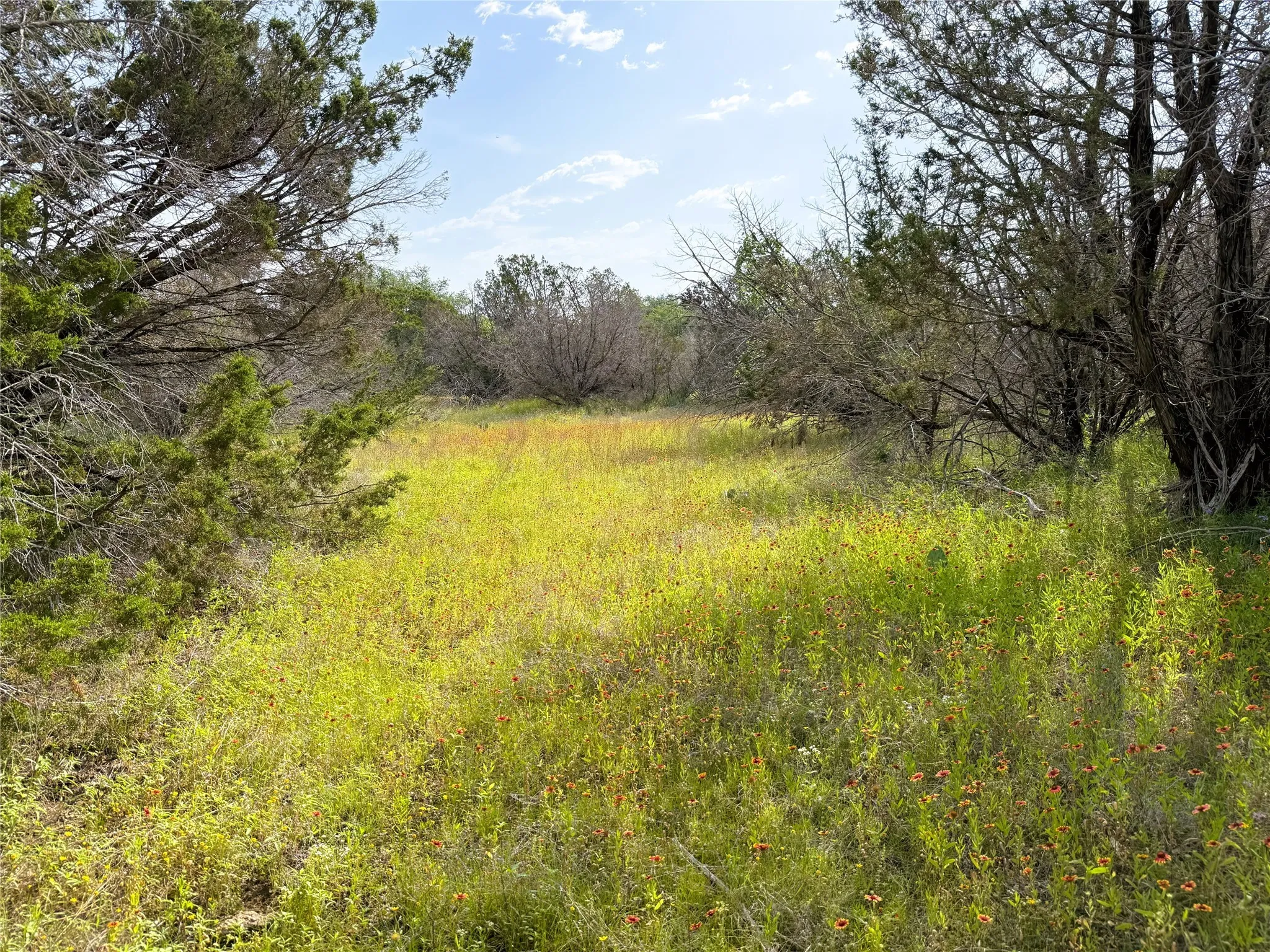 wildlife habitat