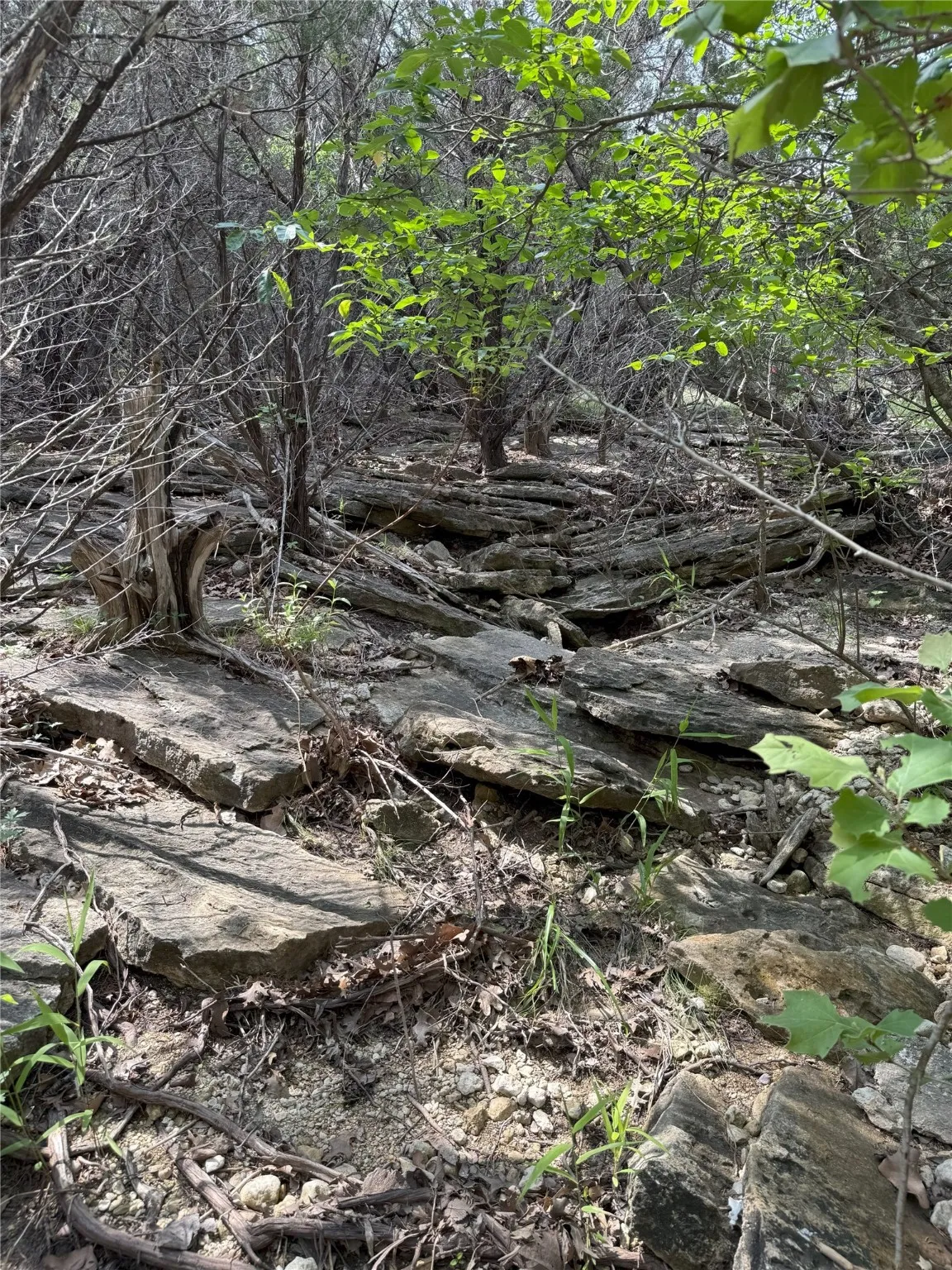 seasonal creek