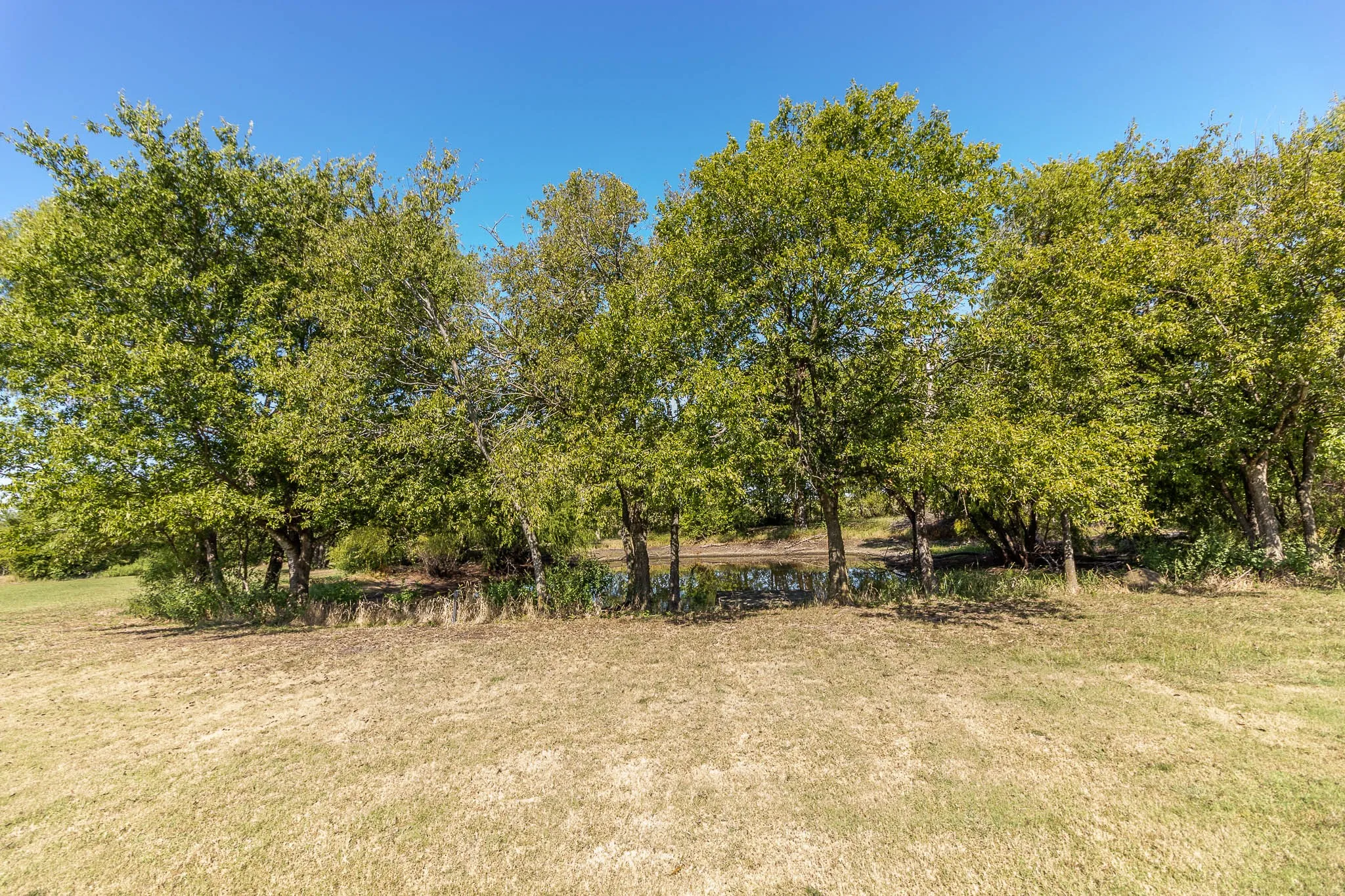 Single Family Residence For Sale in Kaufman County , 1194 Cedar Lane, Kaufman, Texas 75142, 3 Bedroom, 2 Bathroom, 1 Garage spaces, 2,648 Sqft, built in 1994, mls#21072042, Real Estate Agent in Kaufman, Homes For Sale in Kaufman county, Homes For Sale in Kaufman, Realtor in Kaufman Texas, Real Estate Brokerage Independent Realty Texas, Luminita Cordes Realtor